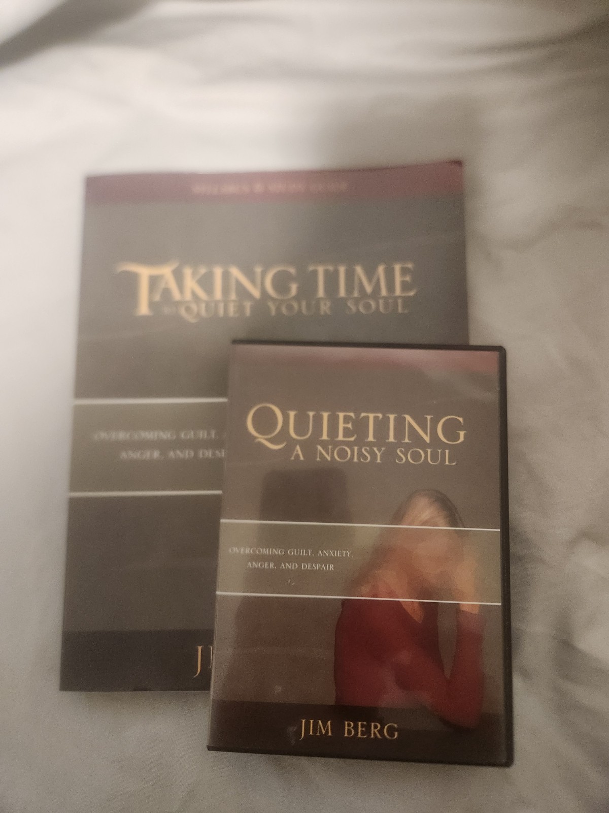 Quieting a Noisy Soul Individual Kit by Not Available (Other)
