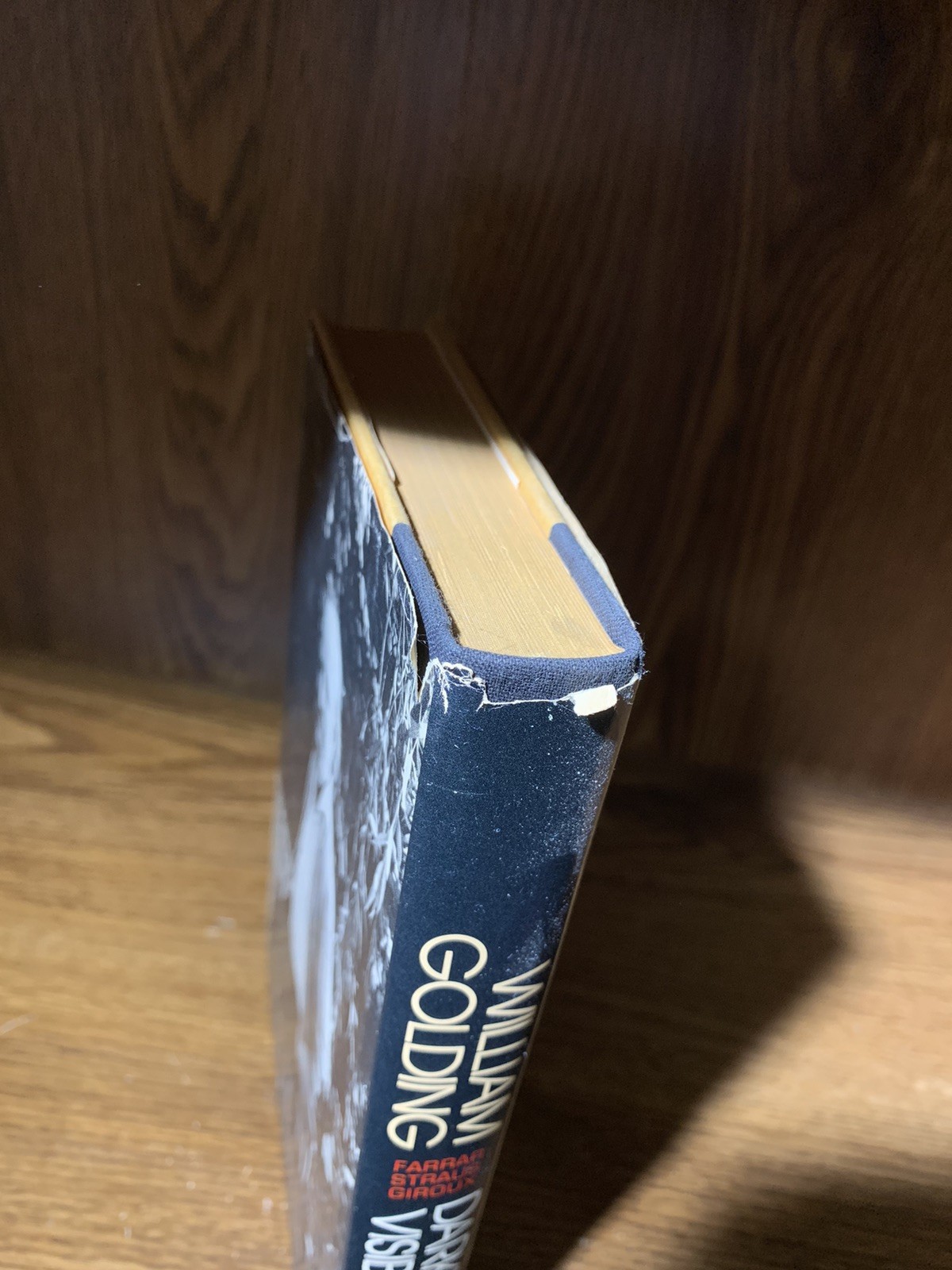 Darkness Visible William Golding 1979 First American Edition Hardcover Book