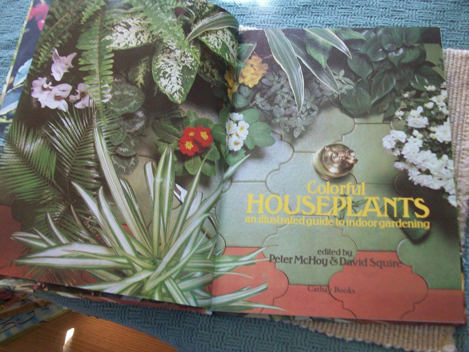 Colorful Houseplants by David Squire and Peter McHoy (1979,hardcover) gardening