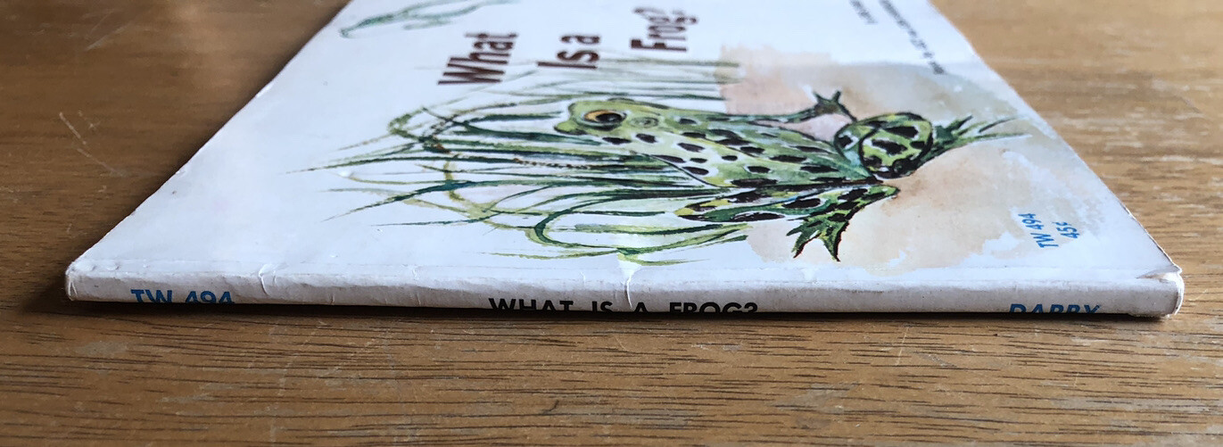Vintage 1963 What is a Frog? by Gene Darby, Scholastic First Printing Paperback
