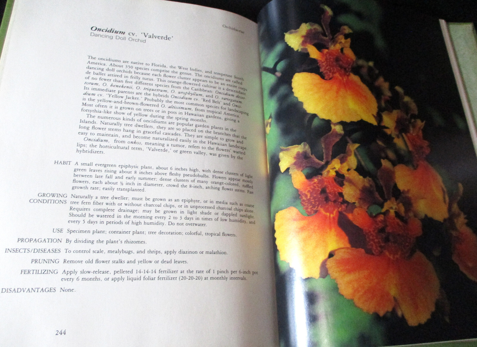 HAWAII GARDEN TROPICAL EXOTICS Horace Clay SIGNED HC 1ST 1977 Gardening Plants