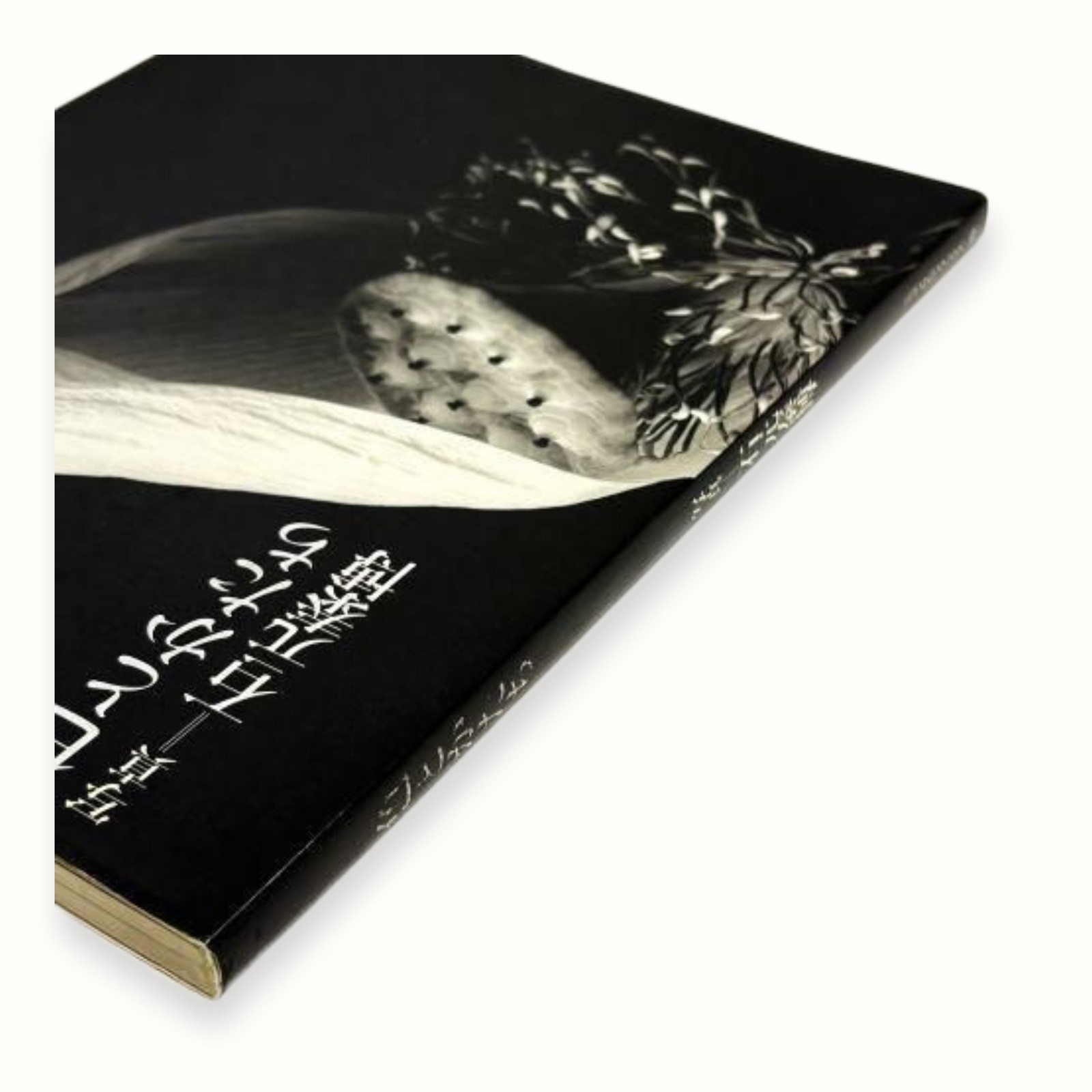 Ishimoto Yasuhiro Iro to Katachi Photography Flowers Photo Book Hardcover