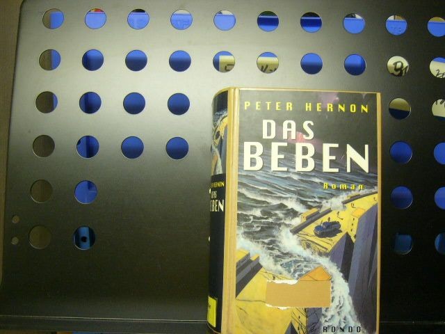 Das Beben Hernon, Peter :