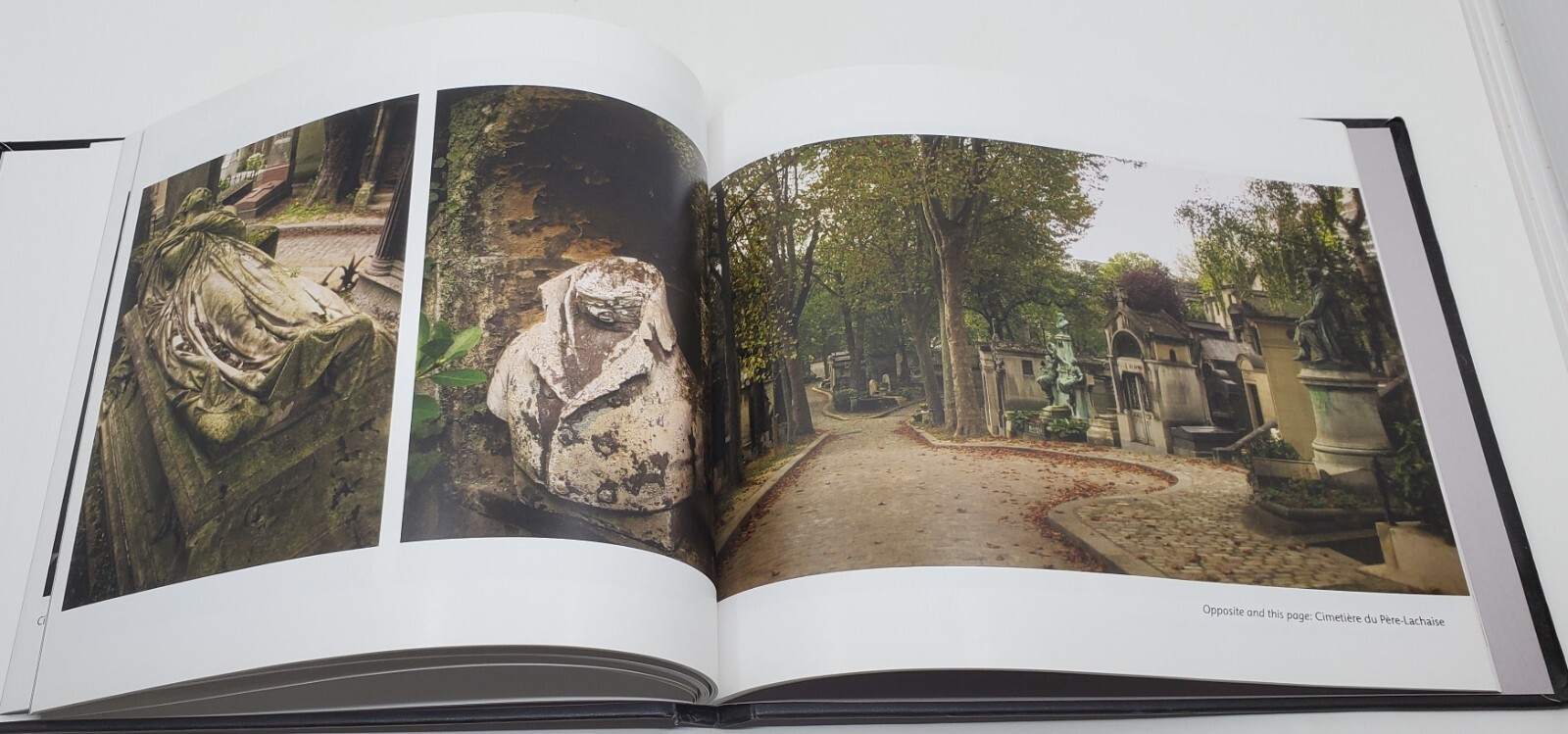 A Taphophile In Paris by Amber Maitrejean 2016 Edition Blurb