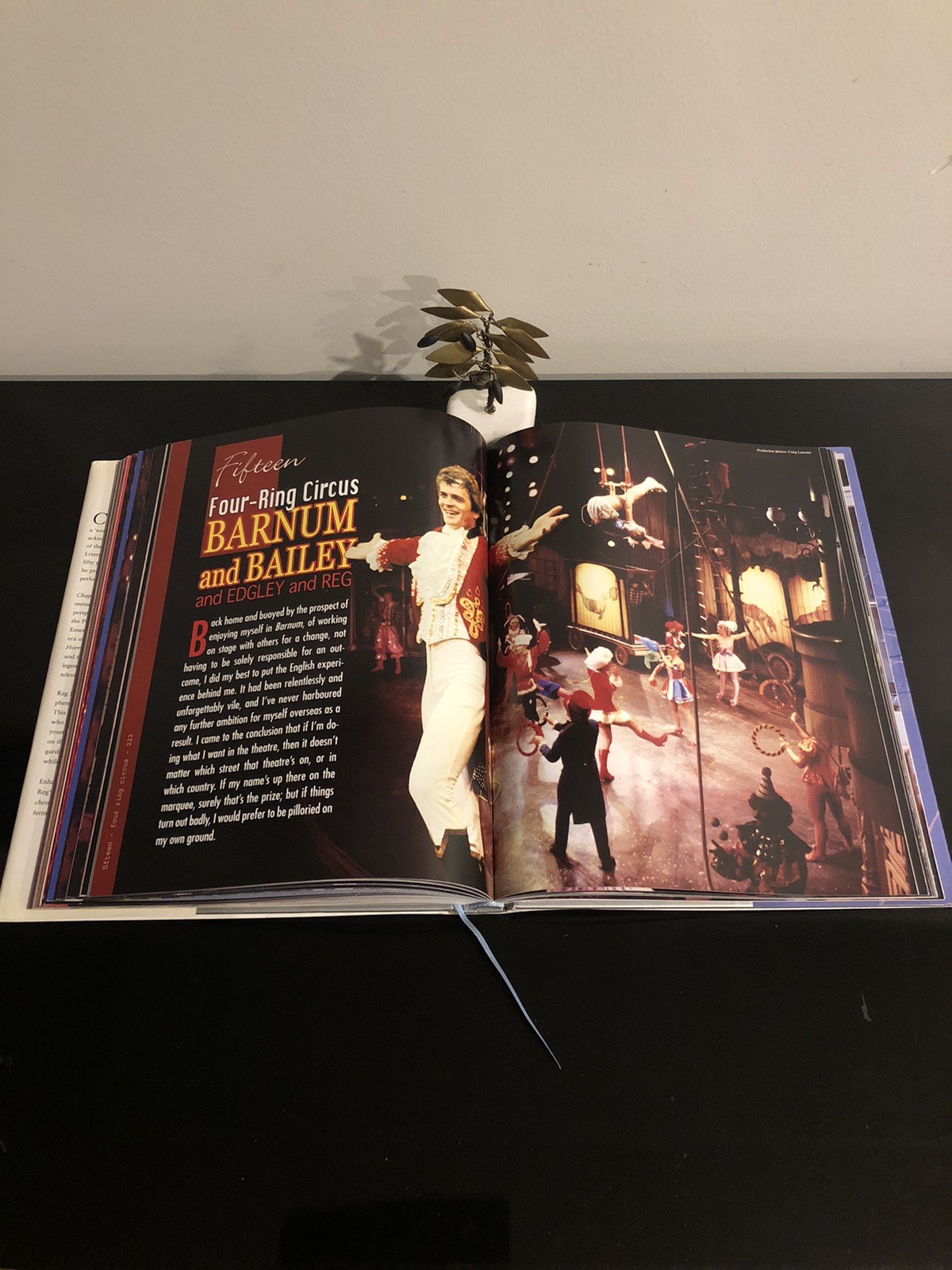 Reg Livermore Chapters And Chances H G B 2003 First Ed/F.Print HC DJ LN 🇦🇺🎭