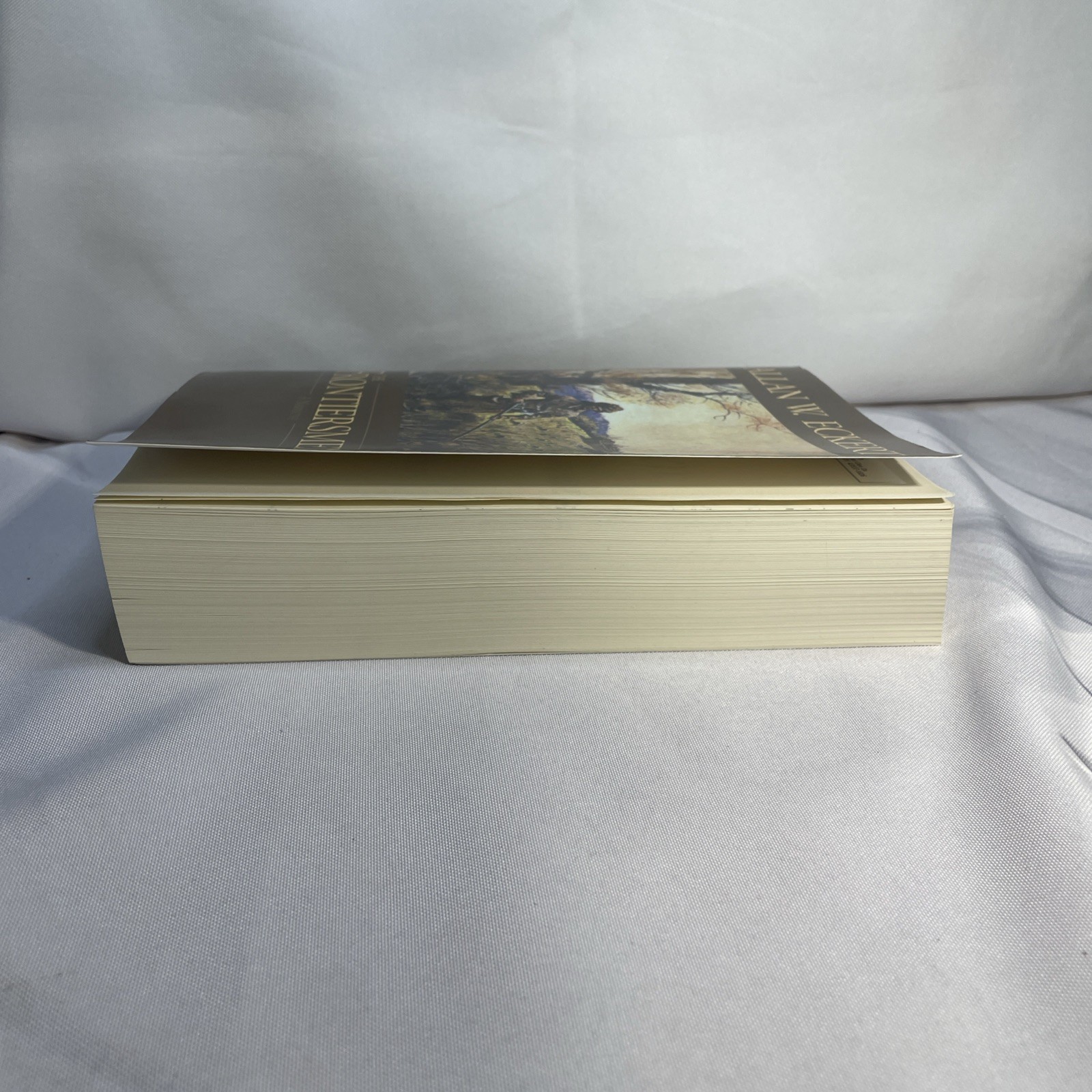 The Frontiersmen by Allan W. Eckert (2001, Trade Paperback)