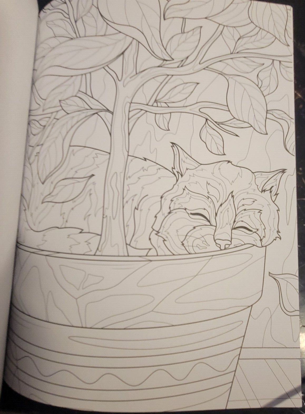 COLOR ME MAGNIFICENT Vol 12 Adult Coloring Book With 47 Prints Ready To Frame