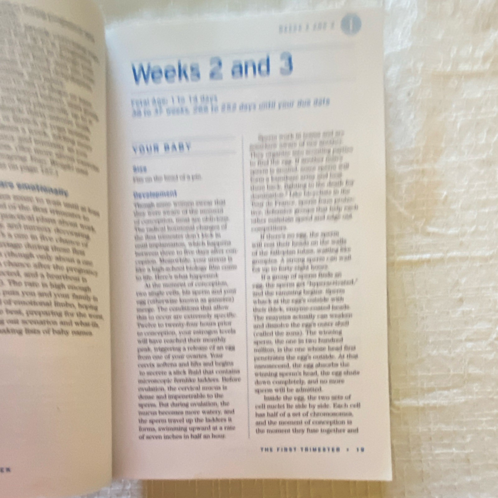 Pregnancy And Childbirth Solve Your Child’s Sleep Problems Richard Ferber MD