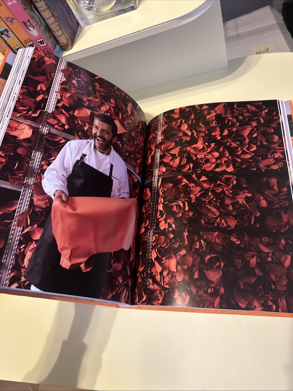 SANTONI MERAVIGLIA MAGAZINE BOOK INTERIOR DESIGN HC COLLECTIBLE TABLETOP BOOK 02