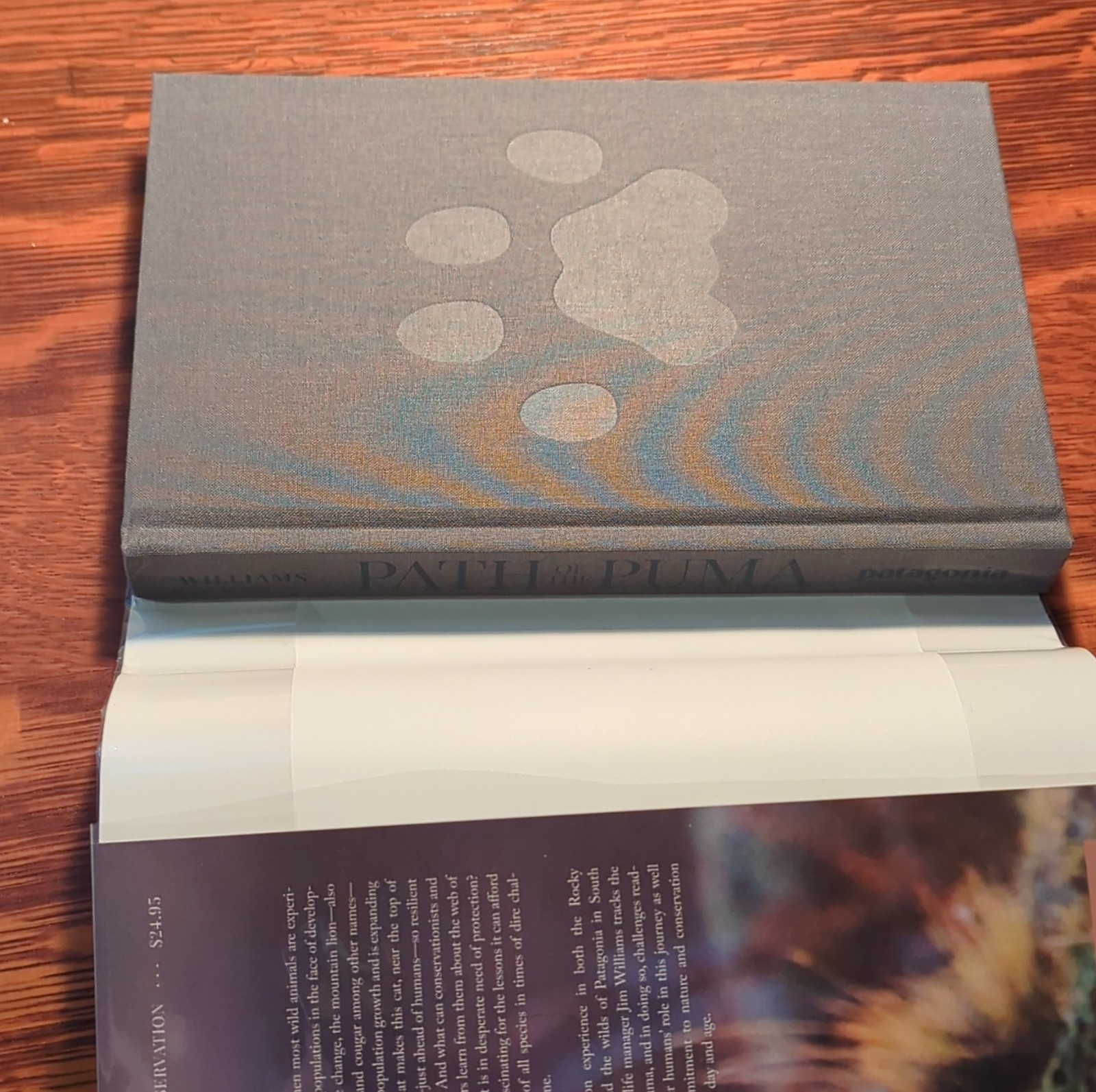 Patagonia Path of the Puma: Mountain Lion Resilience by Jim Williams, Hardcover