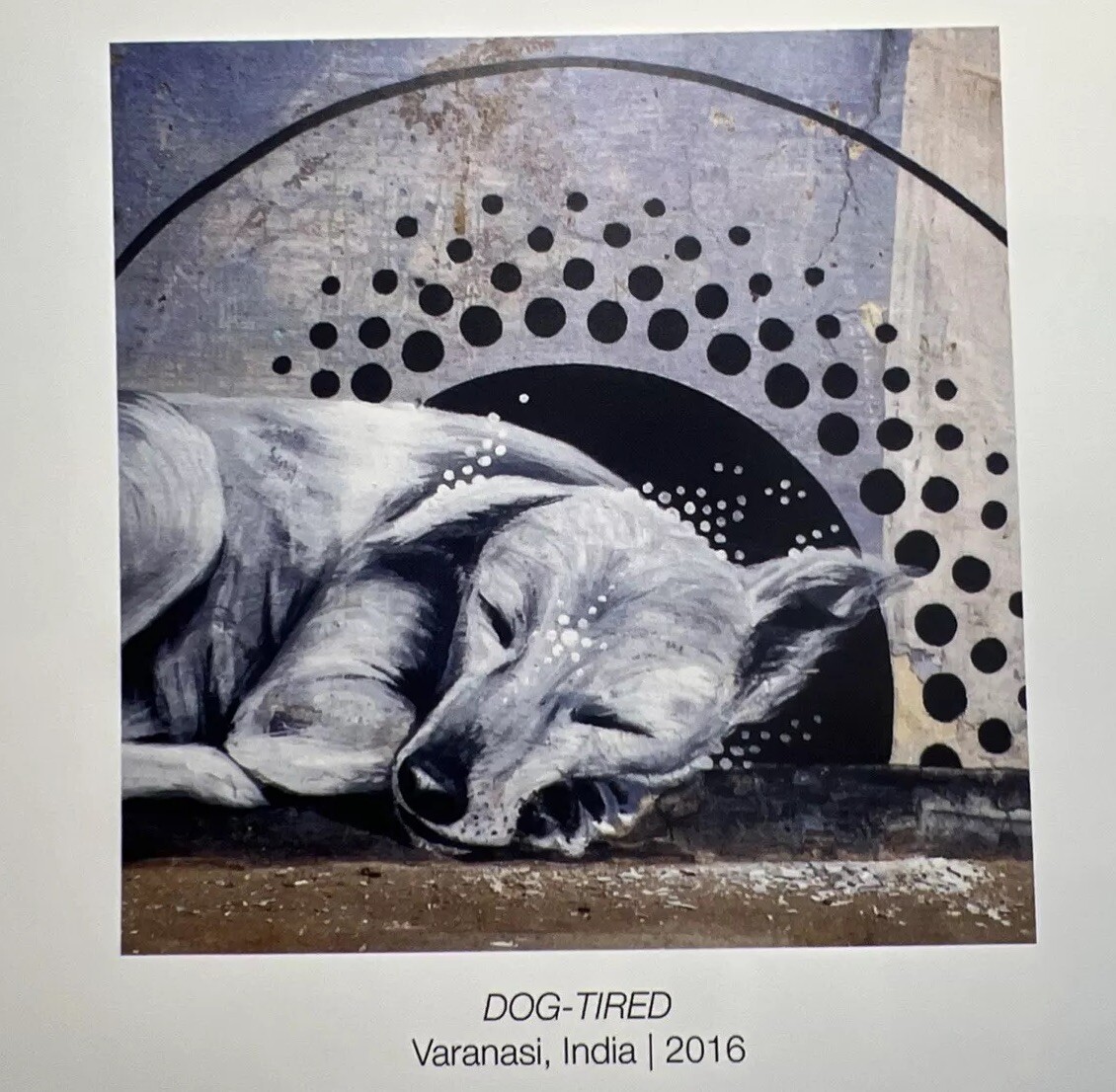 Street Art India by Miles Toland – B20