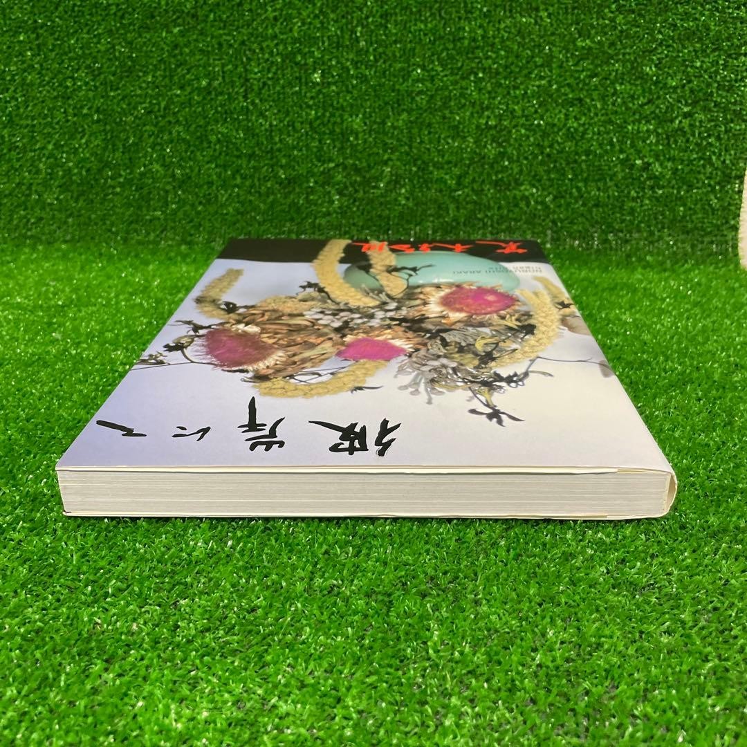 Nuuke Nobuyoshi Araki Photo Book 30x22cm Limited 1000 Softcover