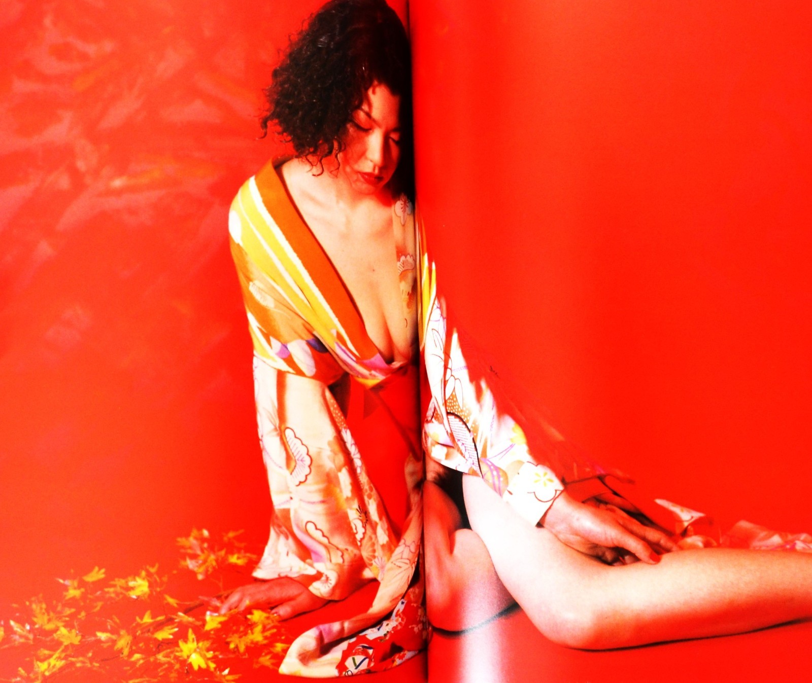 Nobuyoshi Araki Photo Book Novel-themed photos large book 29 x 21 cm 135P Rare