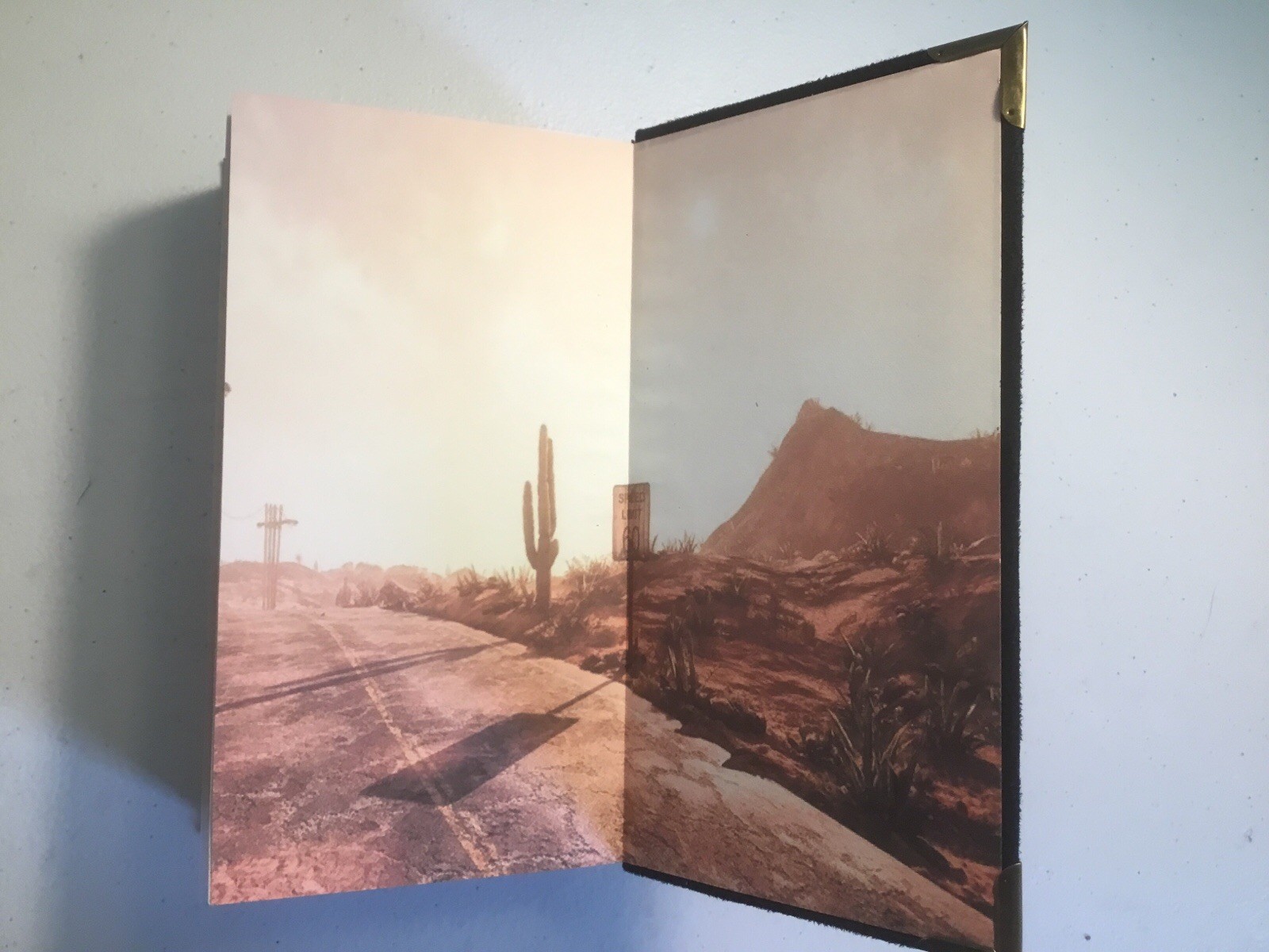 The Stand, Stephen King, Special Hardcover Edition, Custom Bound in Suede