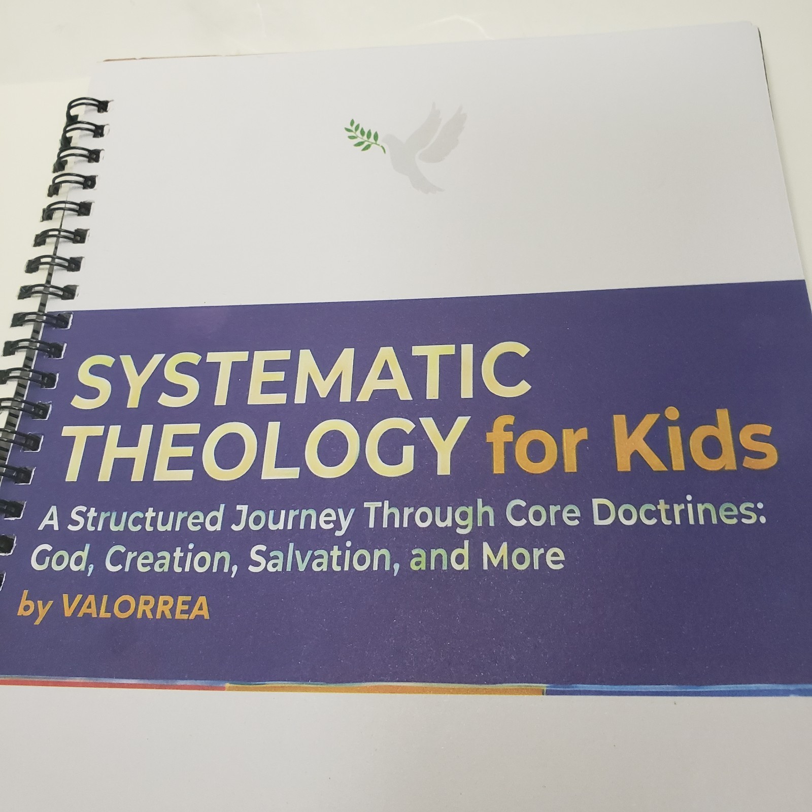 Systematic Theology for Kids: 52-Week Workbook