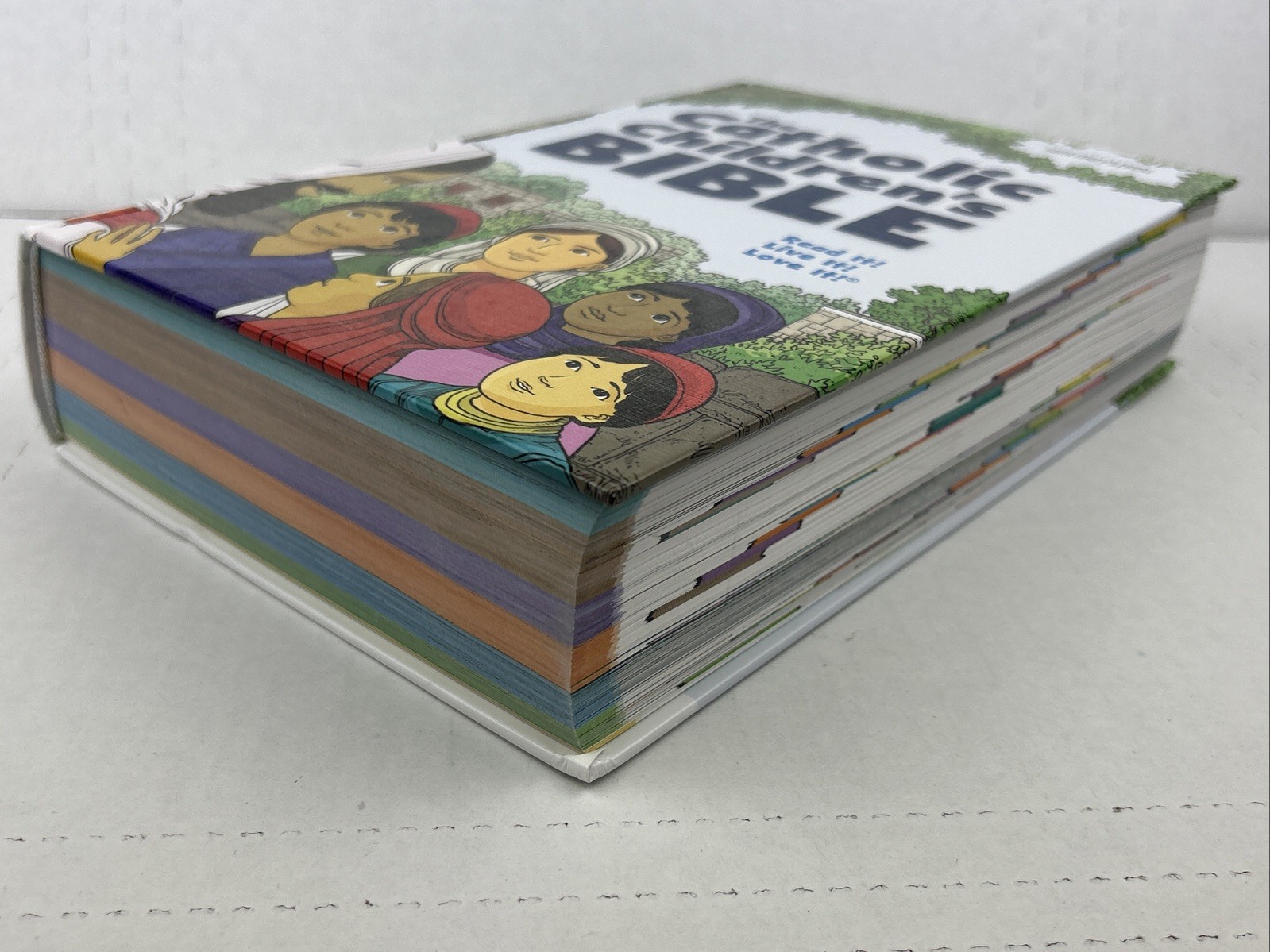 The Catholic Children’s Bible, Revised Saint Mary’s Press Hardcover
