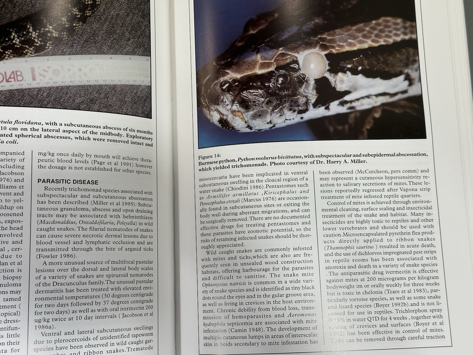 Health Care of Reptiles Vol. 3 (Biology, Husbandry and Health Care Hard Cover