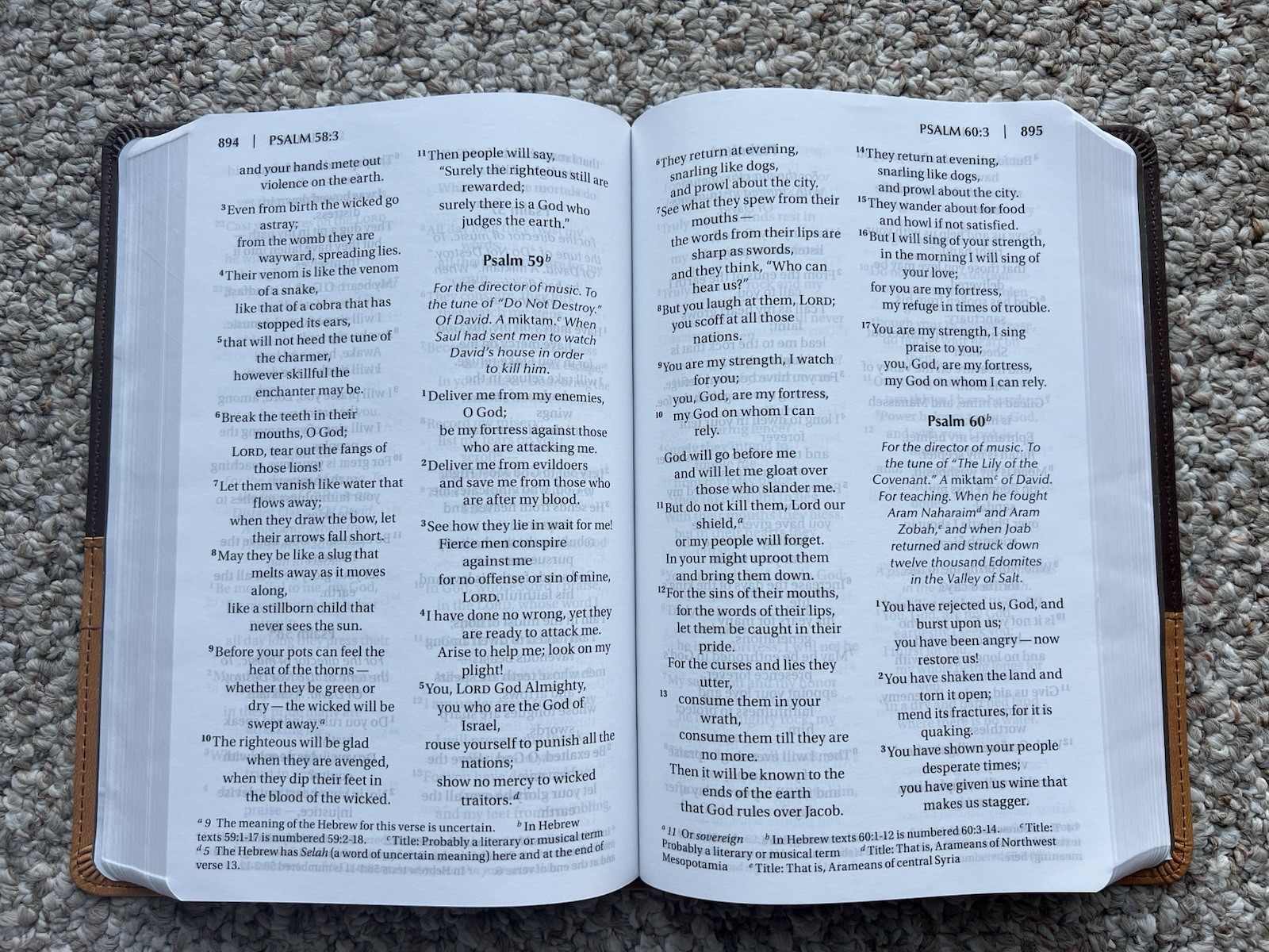 ⭐️Zondervan NIV Large Print Bible-Holy Bible-Leathersoft-Italian Duotone-READ⭐️