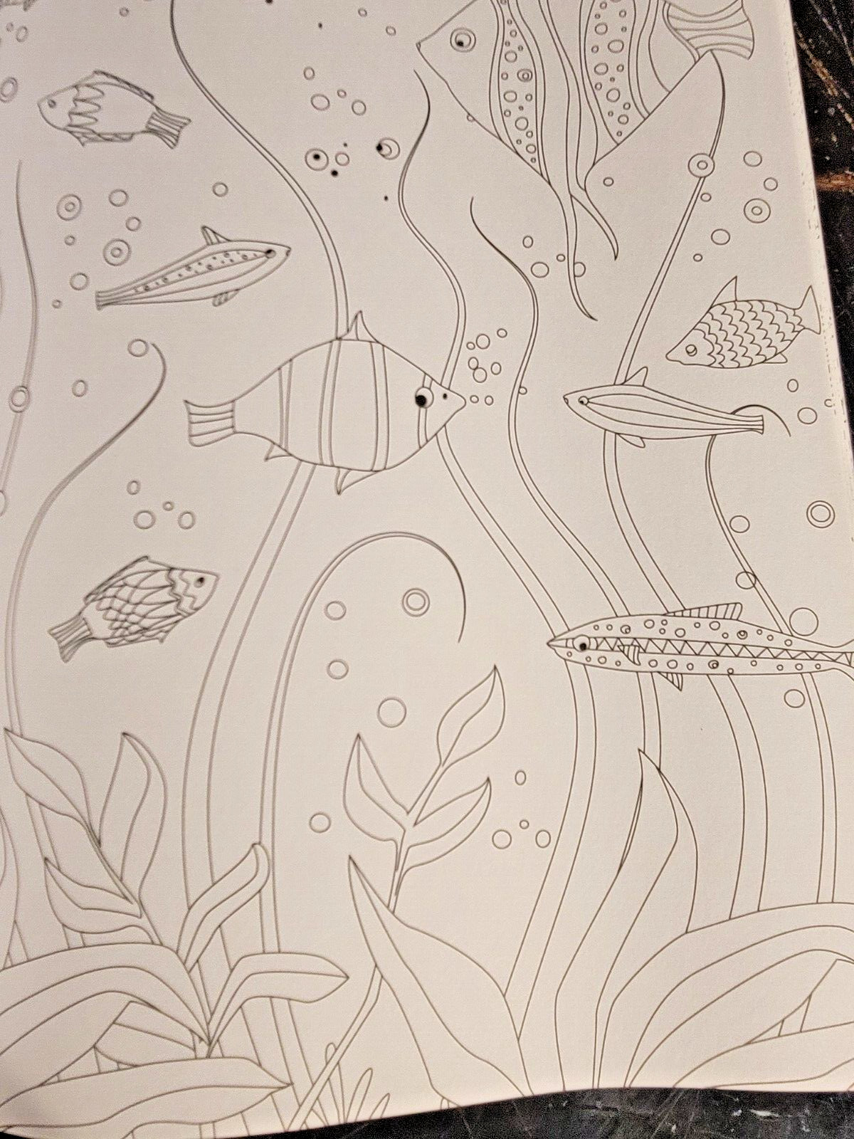 COLORS OF THE WILD! Vol. 16 Adult Coloring Book With 47 Prints Ready To Frame!