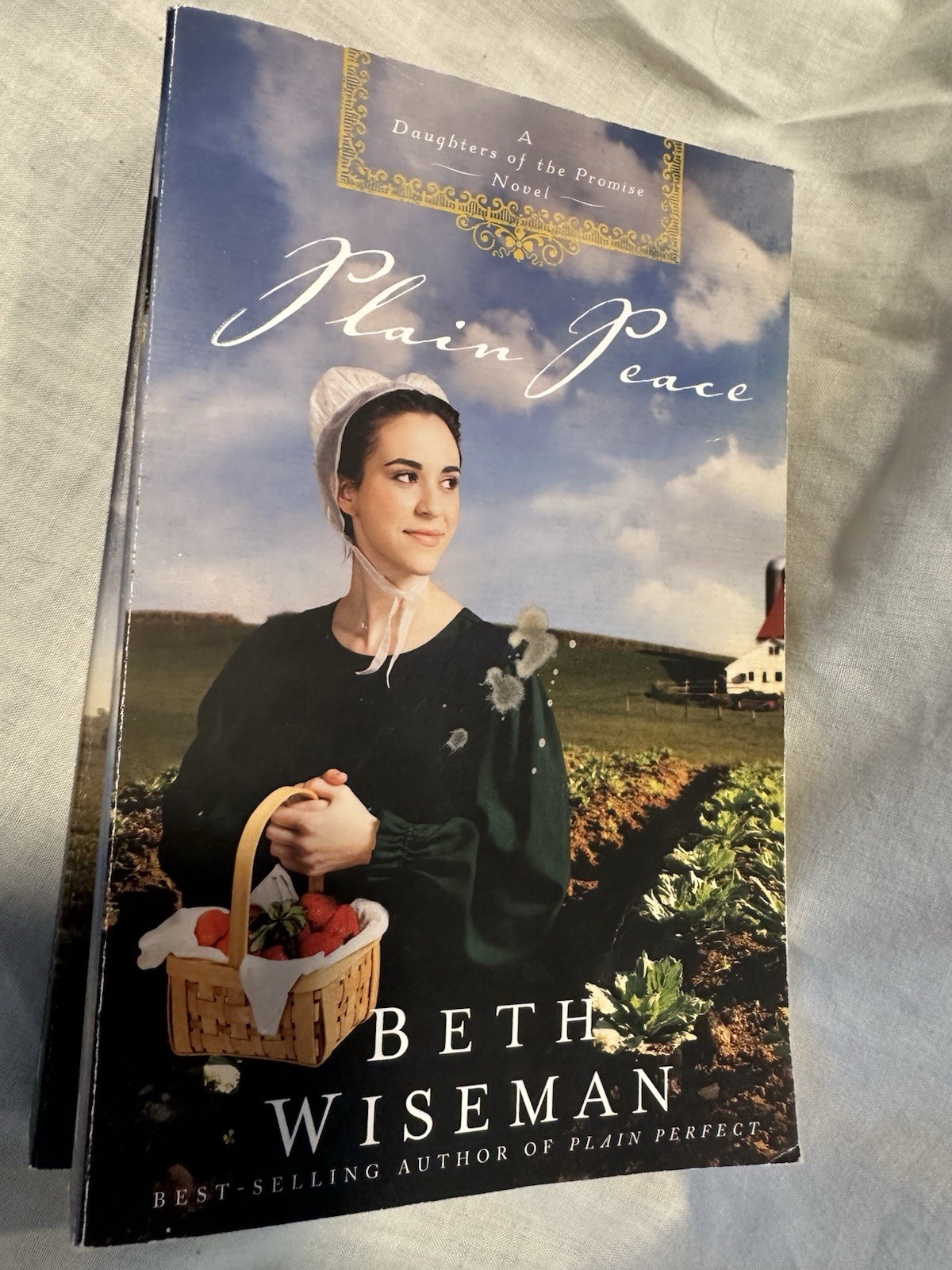 Lot Of 7 Books- Kathleen Fuller, Beth Wiseman, Emma Miller