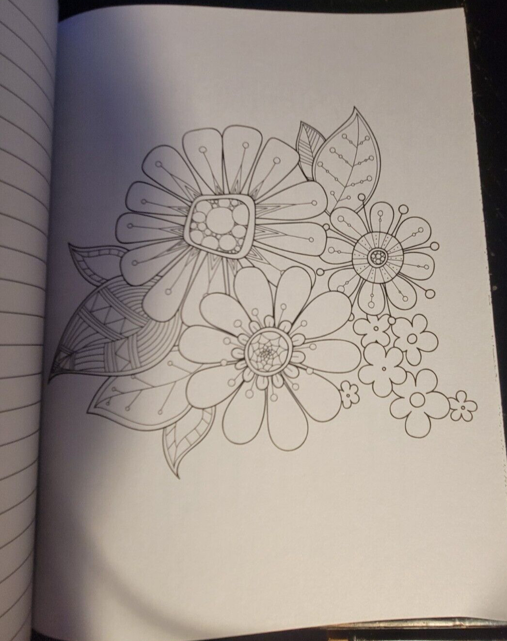 COLOR ME CALM JOURNAL Adult Coloring Book With 47 Prints Ready To Frame