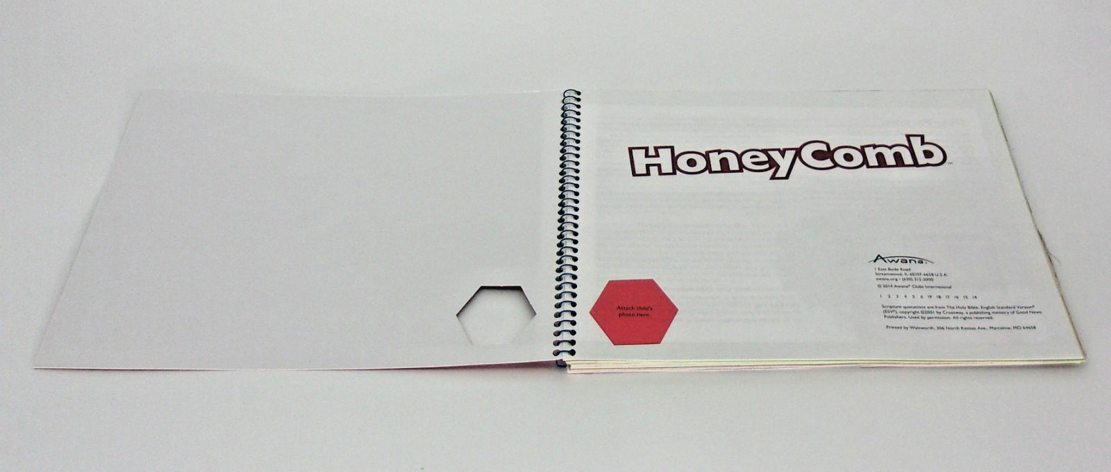 Awana Clubs Cubbies-HoneyComb with CD-95455, ESV