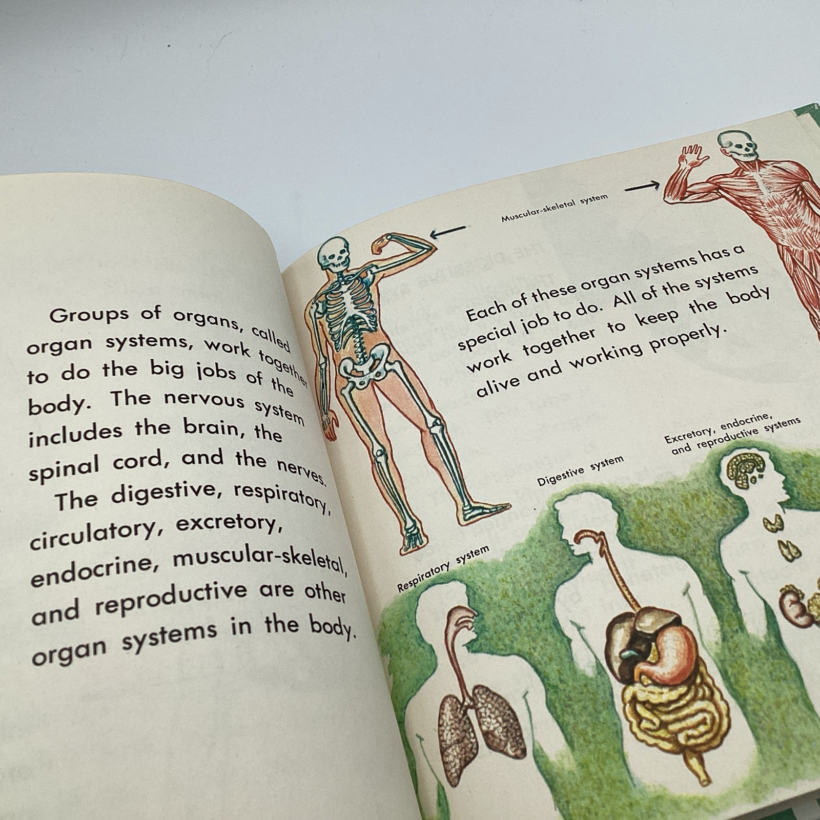 WHAT IS A HUMAN, (what is series) 1964 Benefic Press, by Melvin Alexenberg