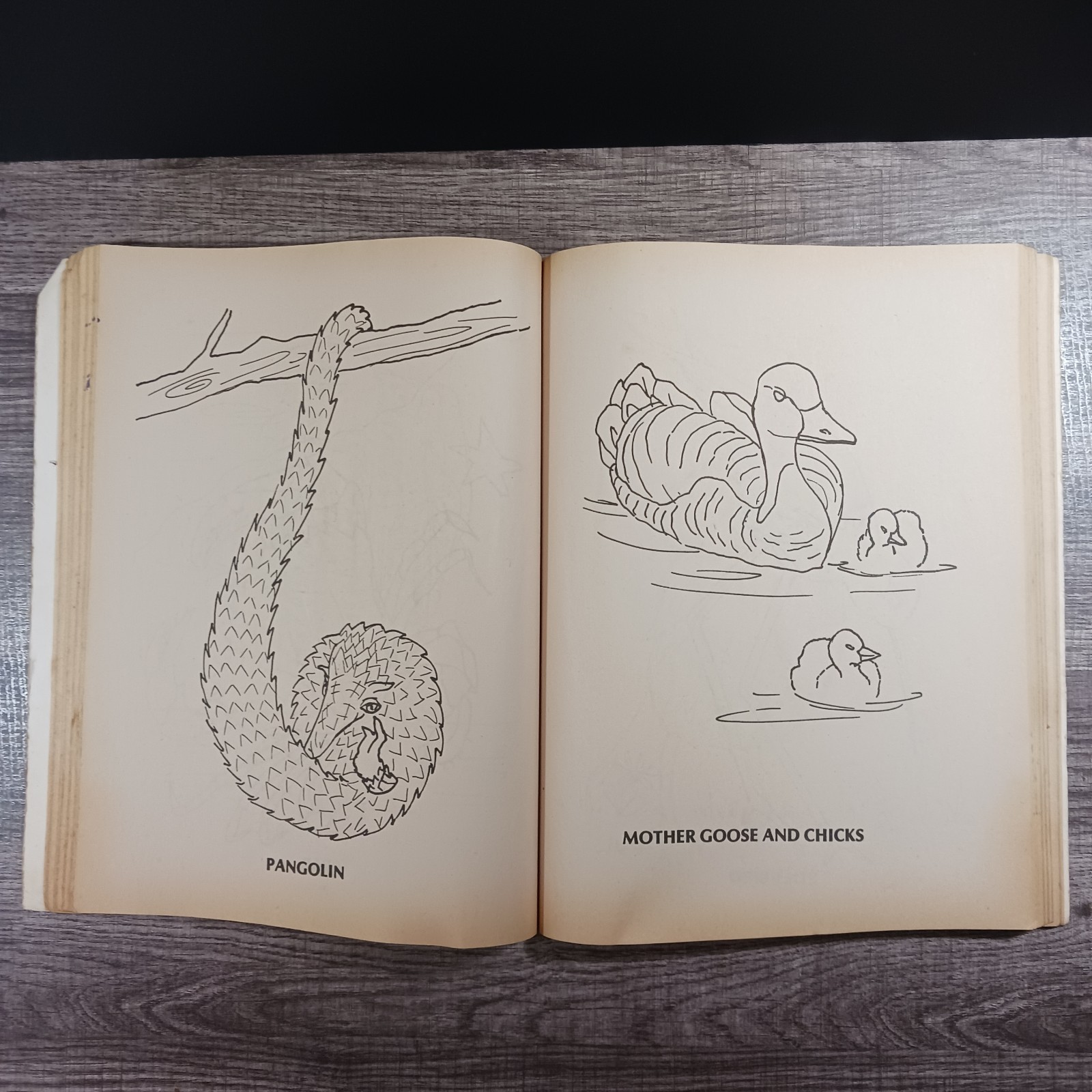 Jumbo Coloring Book 250 Pages Vintage 1988 Favorite Day-To-Day Honey Bear Books