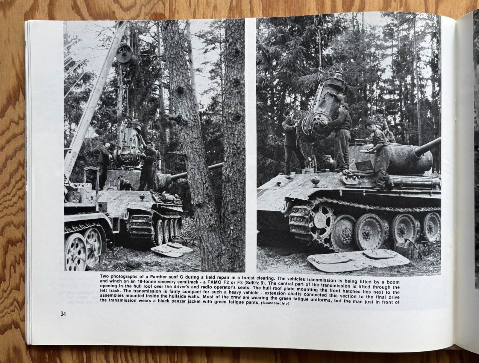 Panther, Panzergrenadiers in Action – Squadron/Signal Lot Of 2 Books