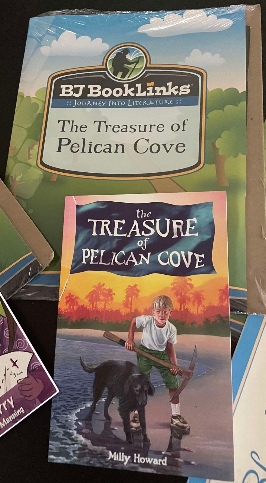 Bob Jones Booklinks Journey Into Literature Set