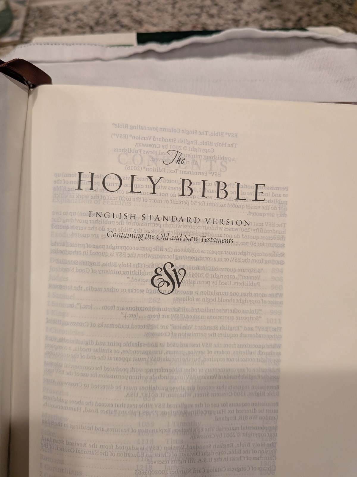 Crossway ESV Single Column Journaling Bible TruTone Leather Chestnut Leaves
