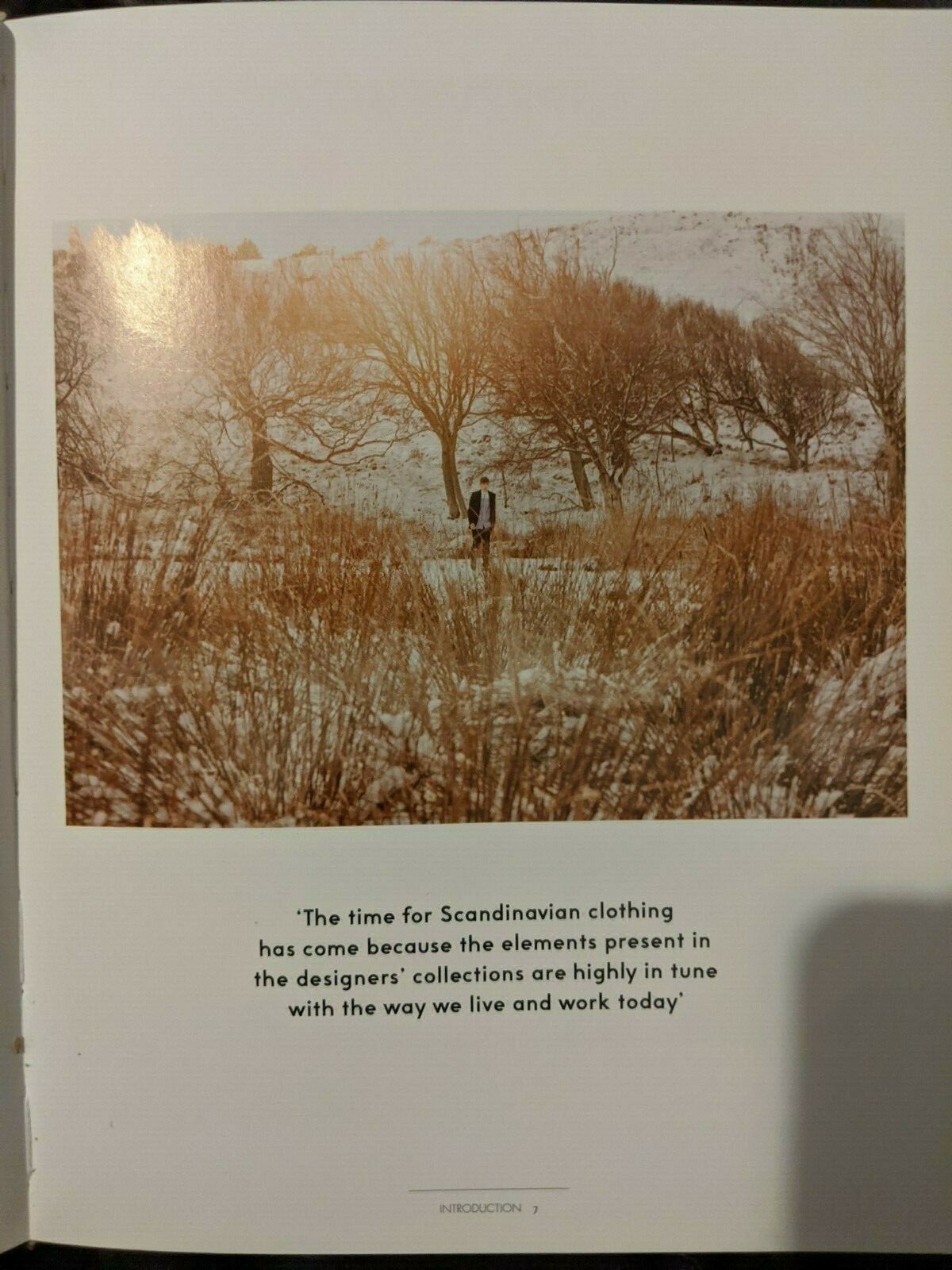 “Fashion Scandinavia” book, 2013, illustrated with many photos, 255 pages