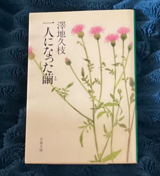 Hisae Sawachi “Mayu is Left Alone”?? PB Japanese Text VGC Bunshun Bunko