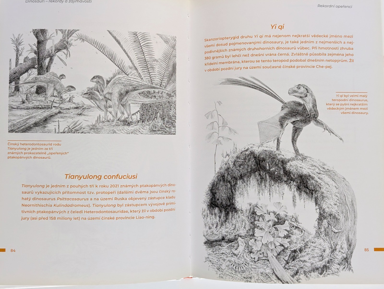 Tyrannosaurus rex Lot of 4 Czech Books on Dinosaurs Paleontology Vladimír Socha