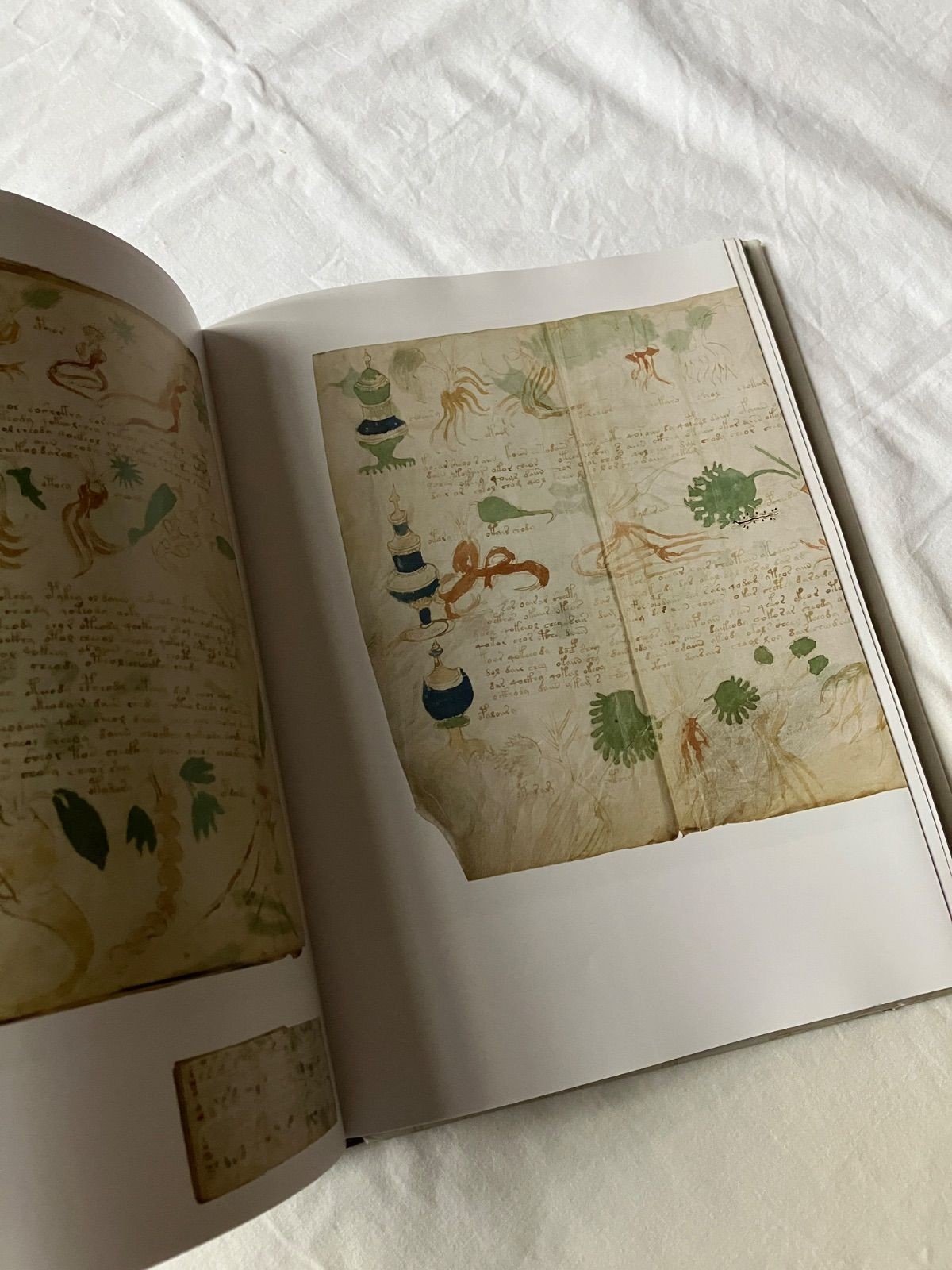 Voynich Manuscript Facsimile 1912 Yale Univ Press 31x24cm Used