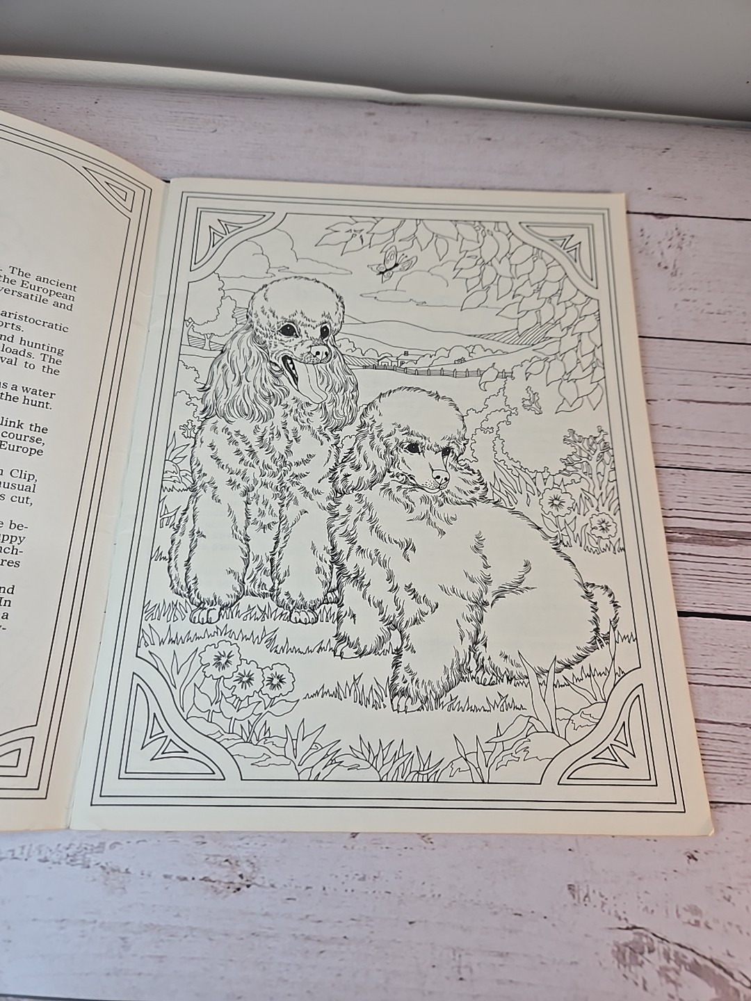 Rita WarnerDogs & Puppies Coloring Album Book Vintage Copyright 1977