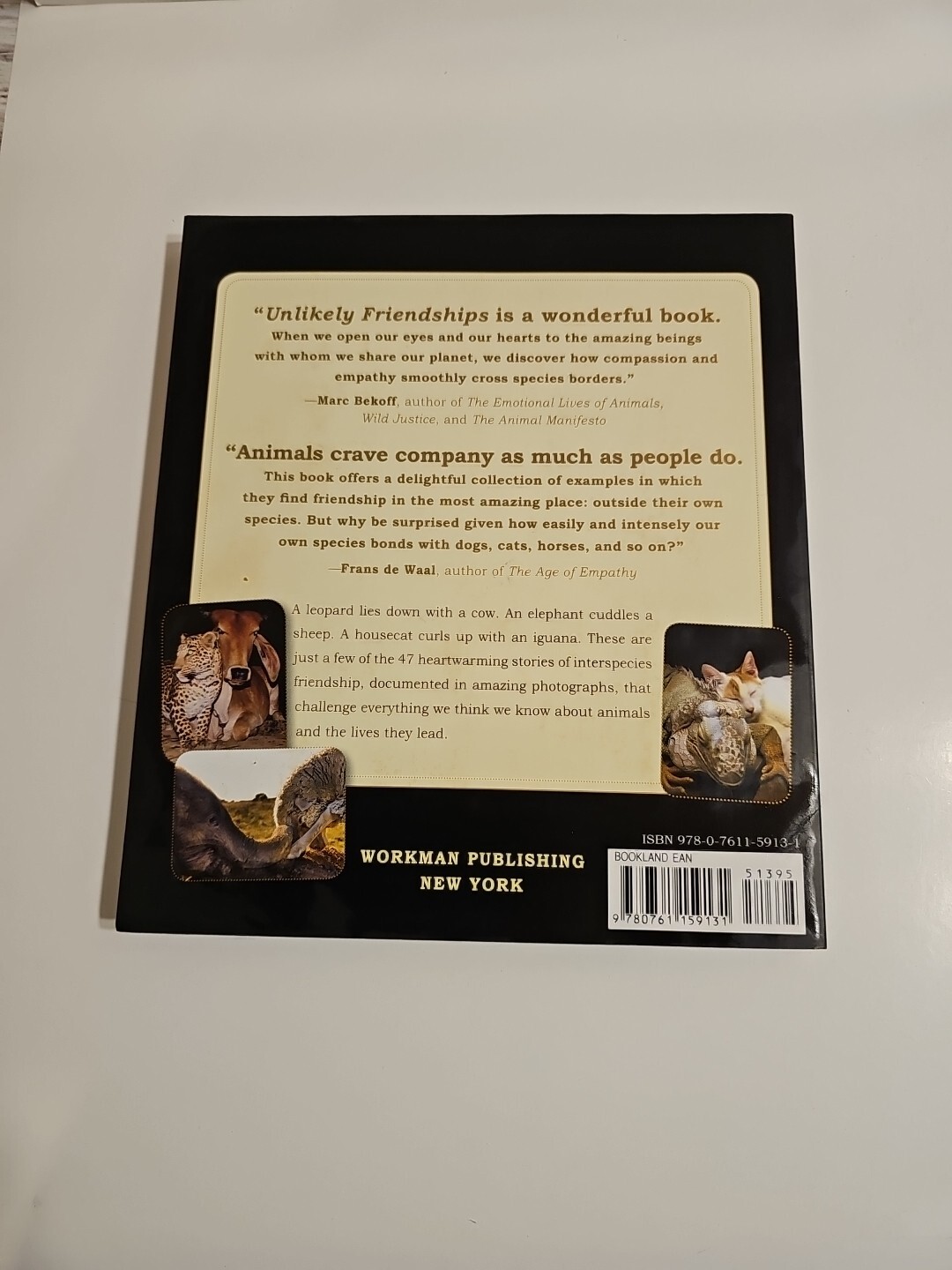 Unlikely Friendships 47 Remarkable Stories Animal Kingdom Jennifer Holland