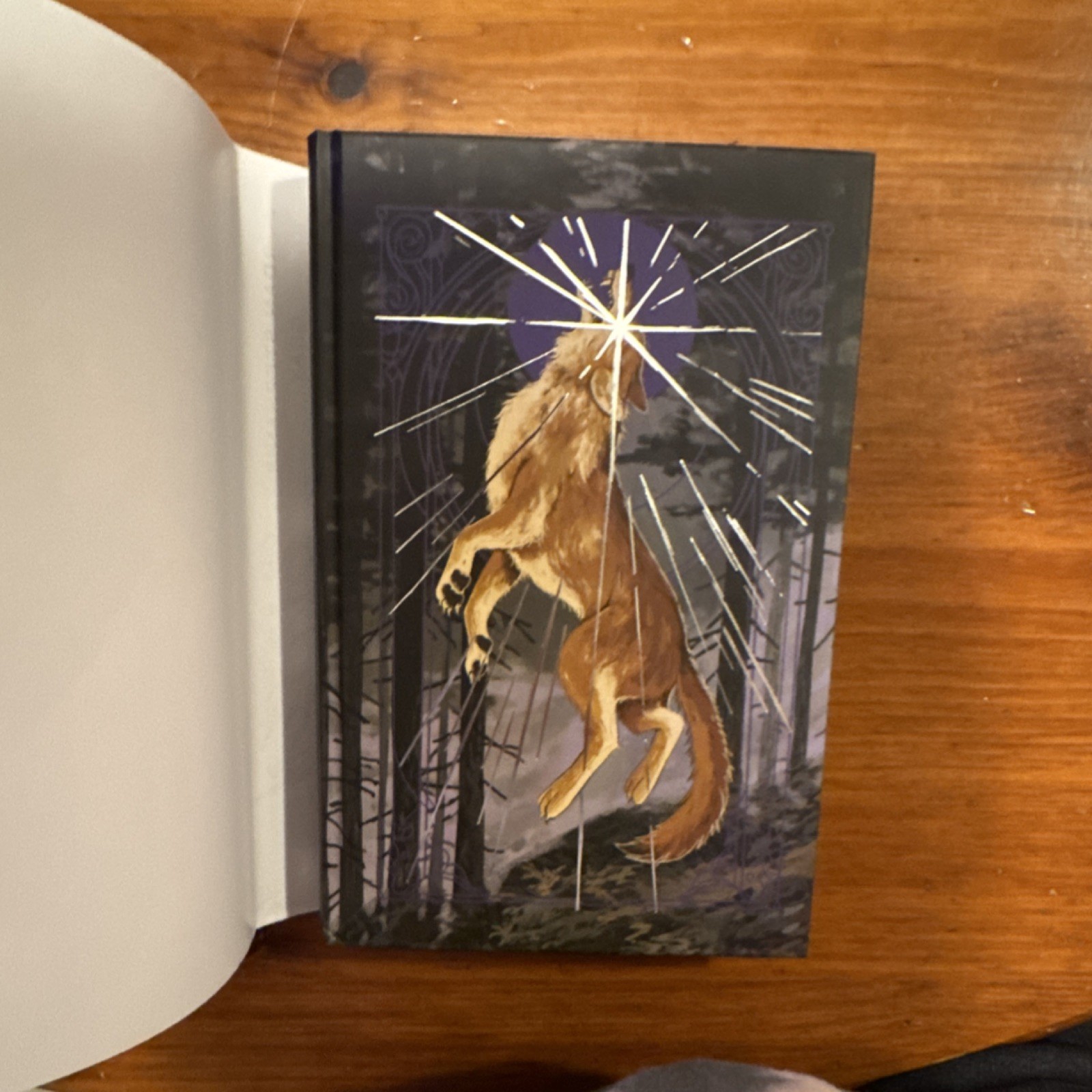 SPECIAL LILAC LIBRARY Bitten by Jordan Stephanie Gray Hardcover