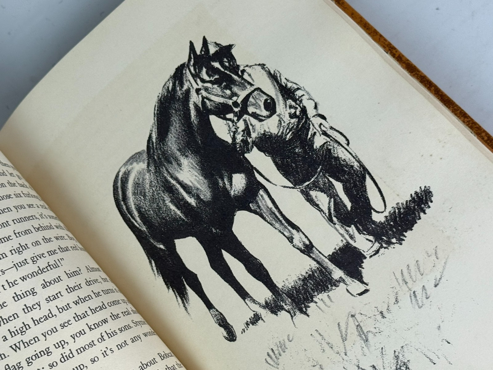 BOBCAT by C.W. Anderson HB 1949