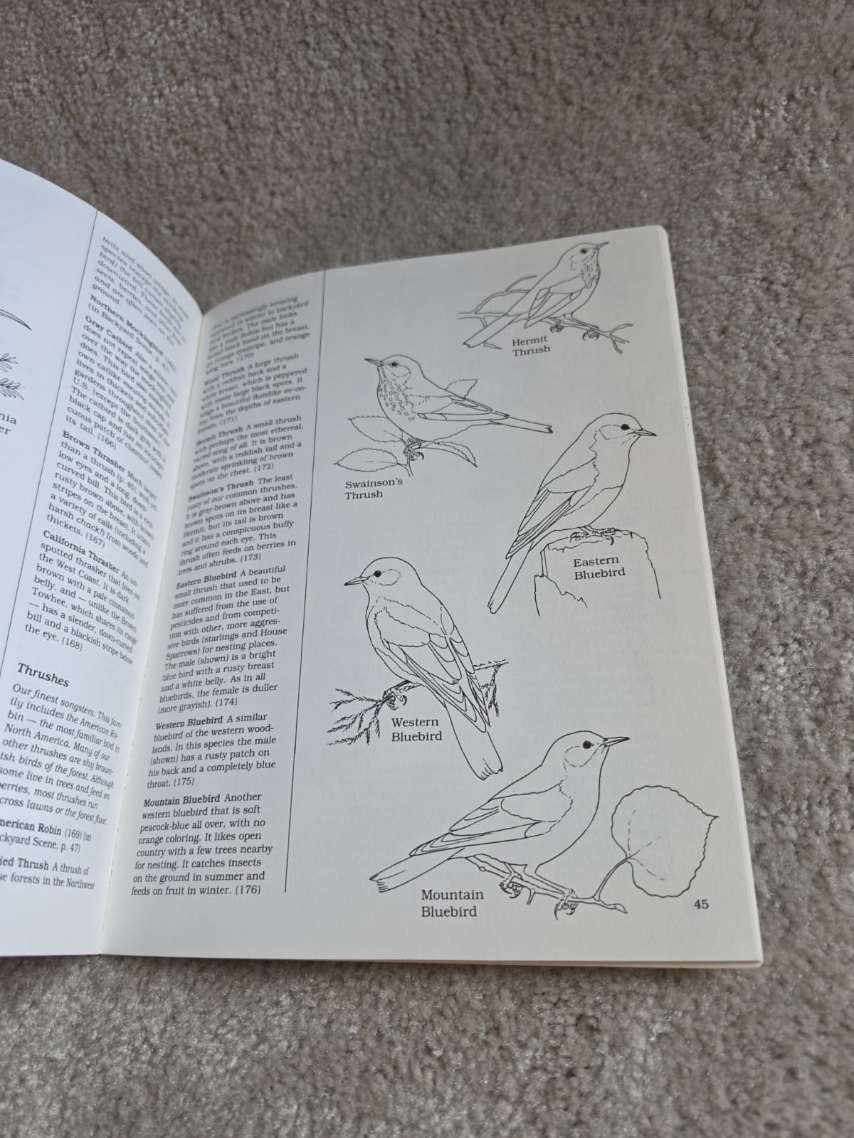Vintage Lot Of 4 Coloring Books. Dover Publications. Houghton Mifflin Company