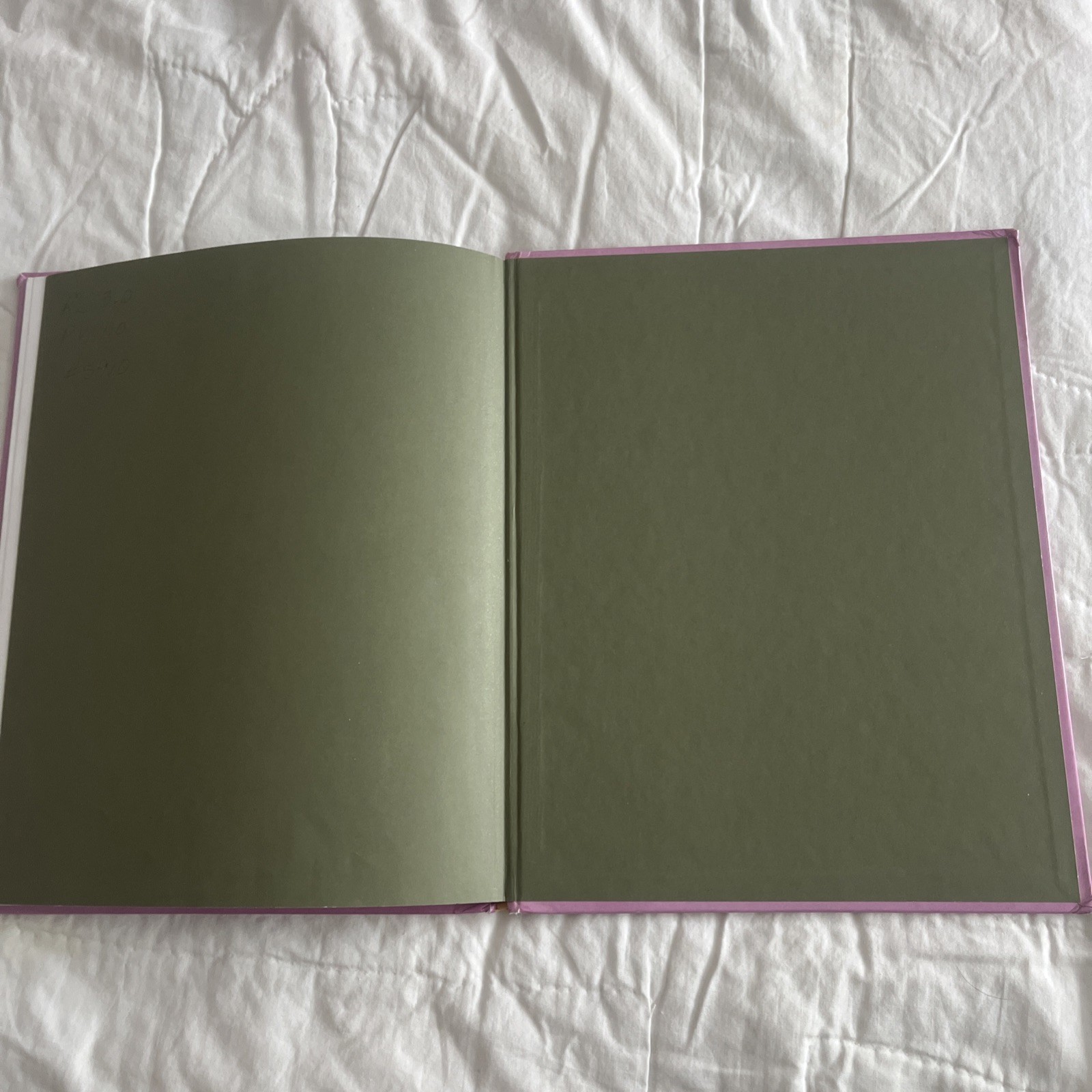 Vtg SHREK First Edition Book 90’ William Steig Farrar Straus Giroux NY Nostalgia