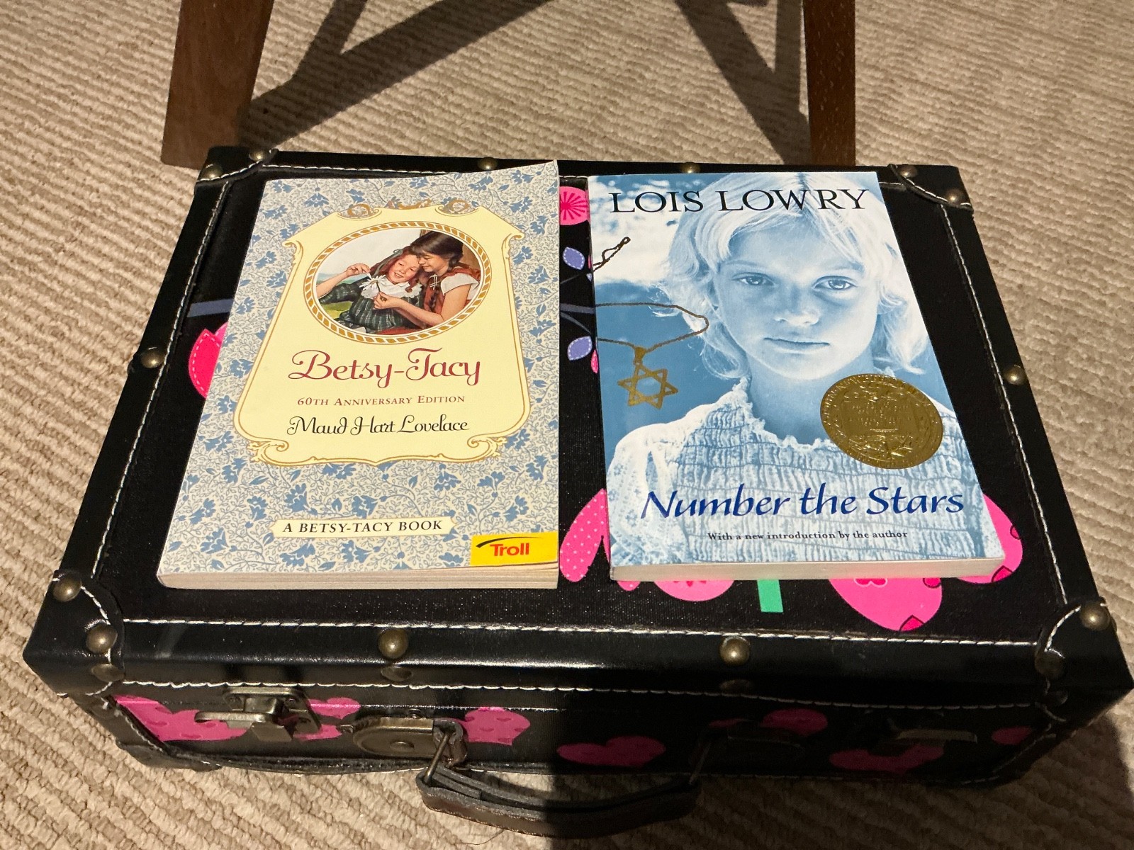 Suitcase LOT of Chapter Books GIRLS interest 12 Various Fiction Adventure—Good