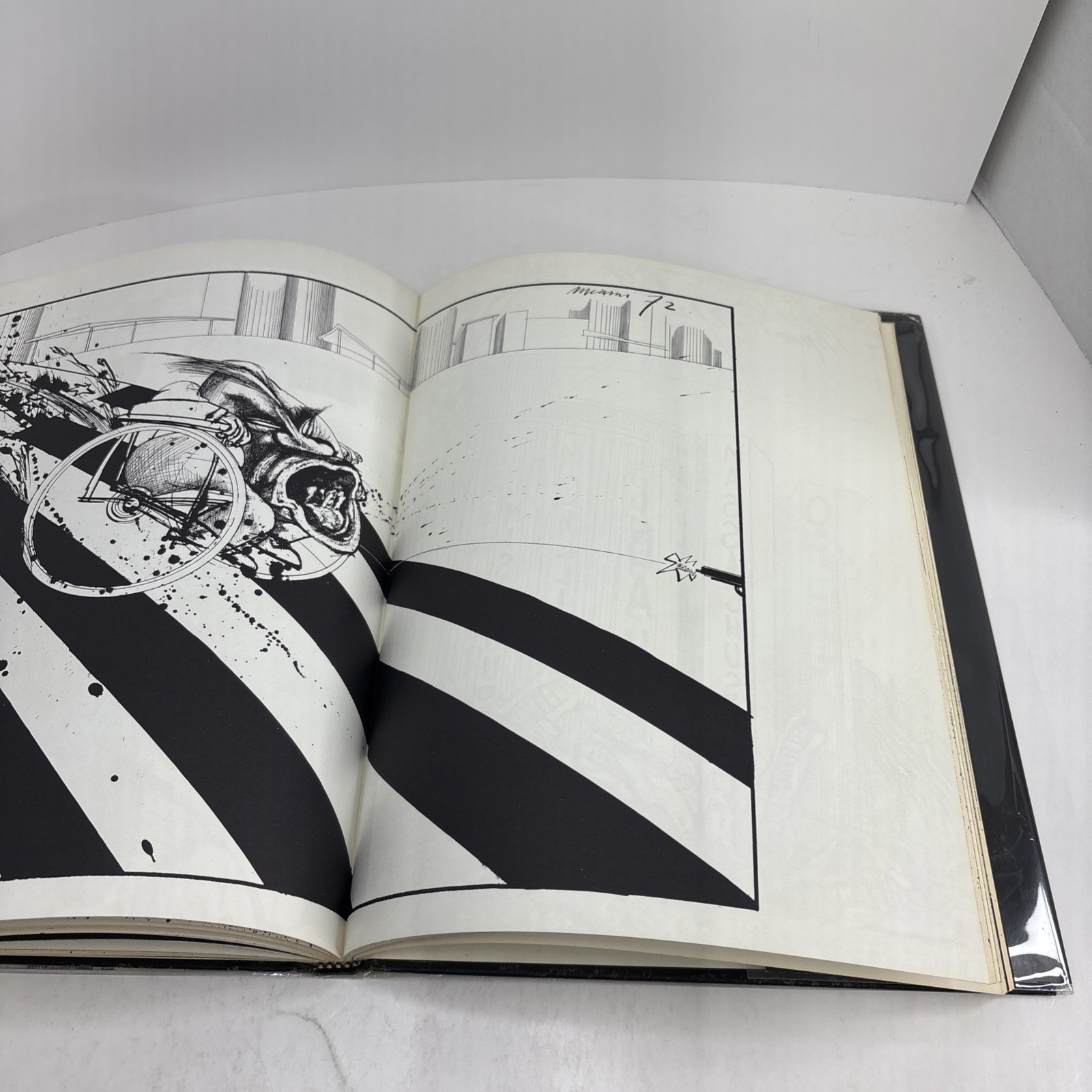 AMERICA by Ralph Steadman First Ed. Hardcover 1974 – Intro by Hunter S. Thompson