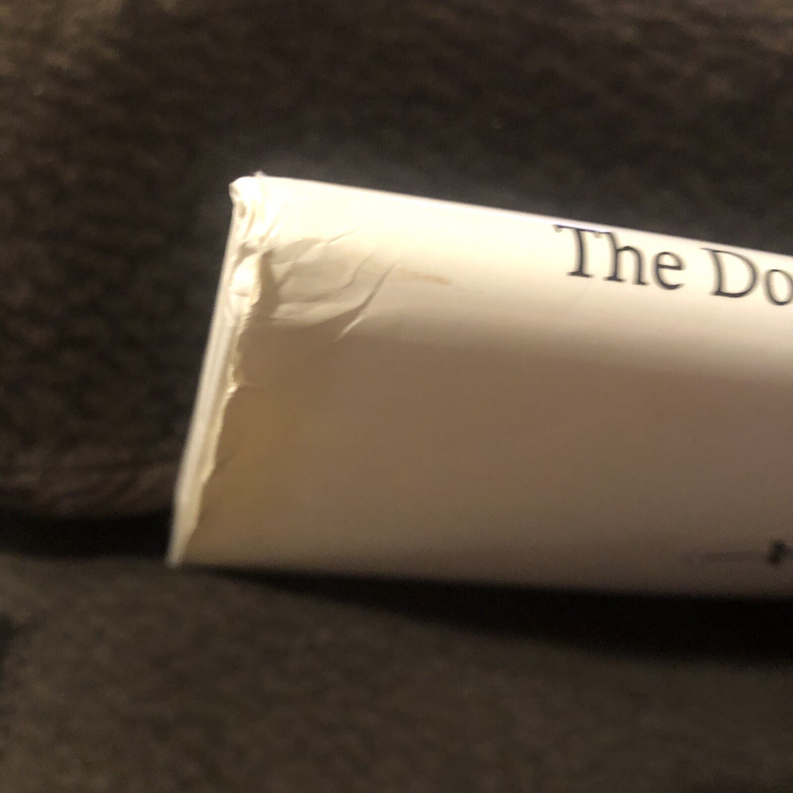 The Doggonest Christmas By Richard Lynn Stack Reading Age 7-9 48 Pages Signed