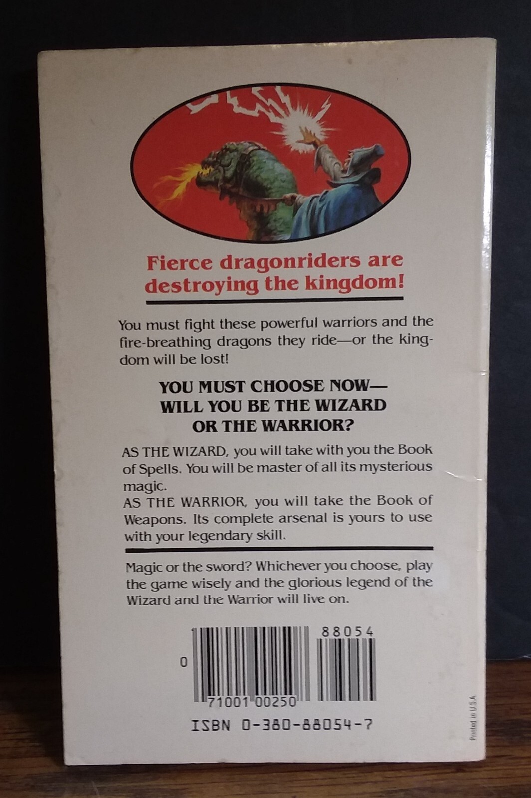Wizards Warriors and You Book 2 – Siege of the Dragonriders – Solo Adventure
