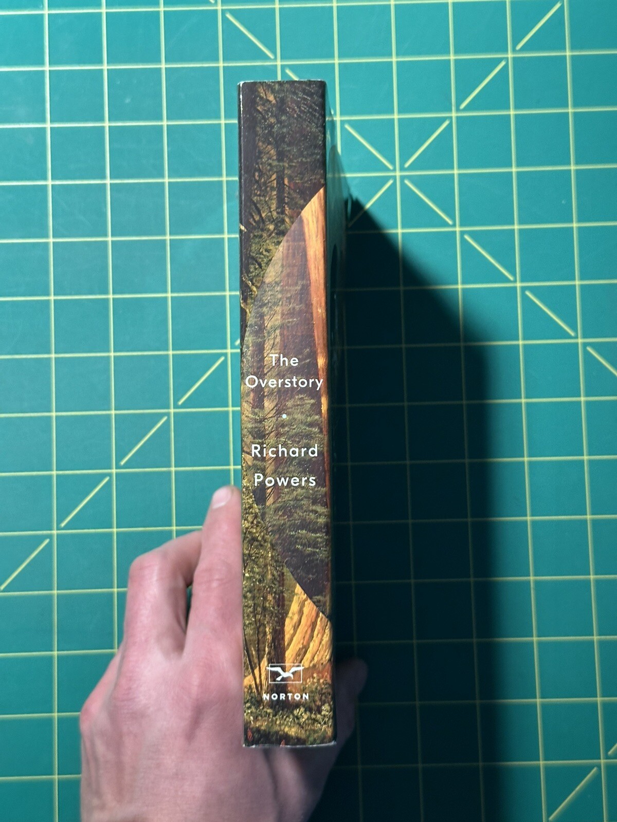 The Overstory by Richard Powers