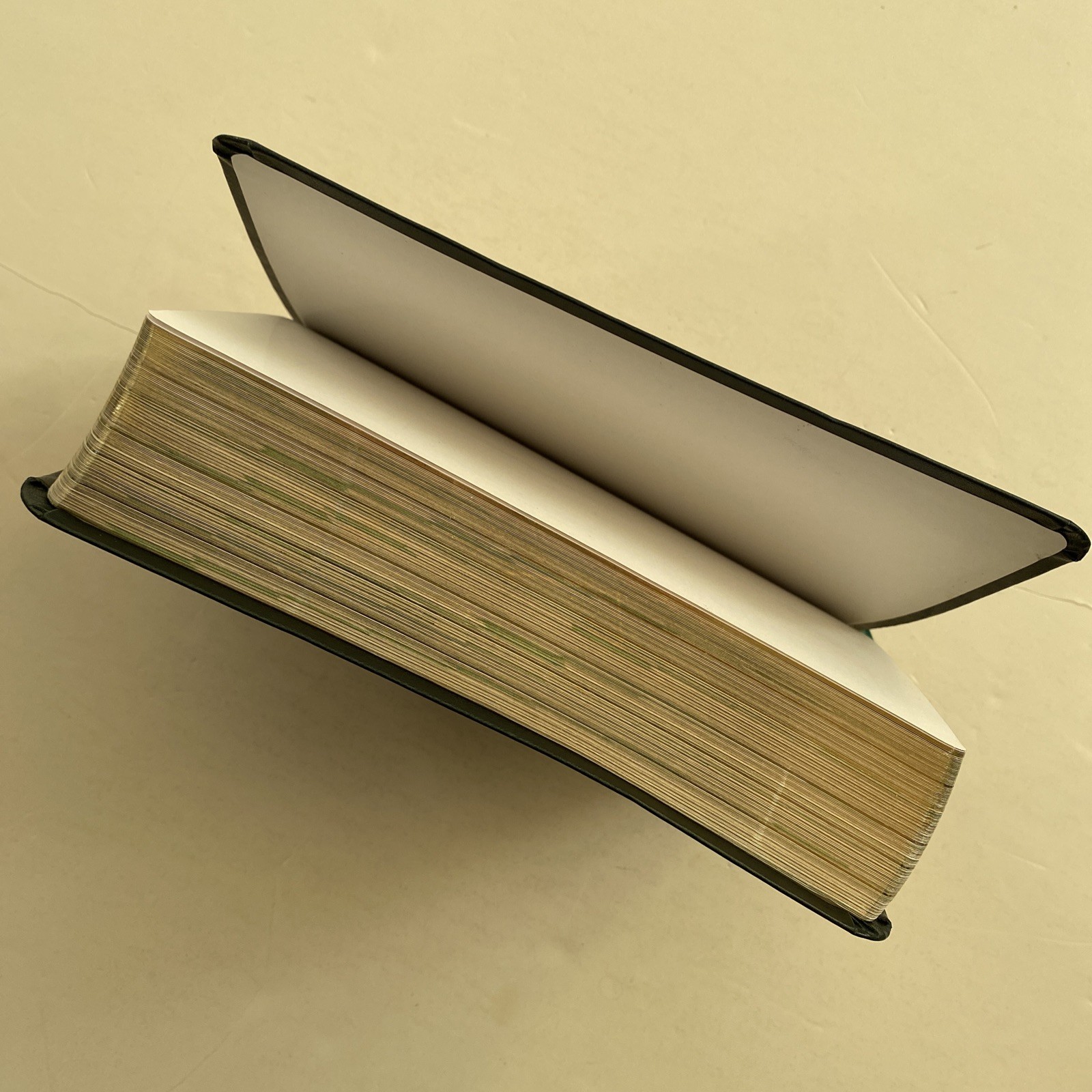 The Catholic Youth Bible Leatherette 3rd Edition St Mary’s Press 2012