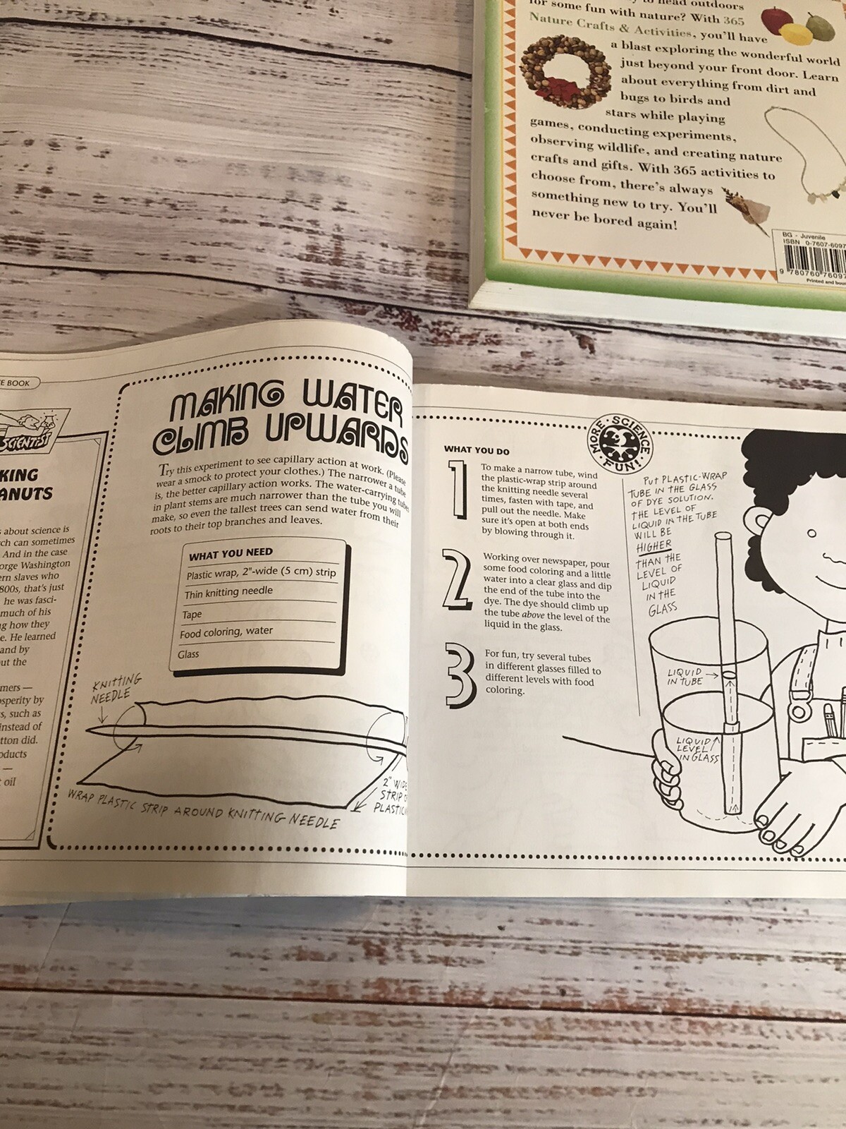 Vintage Craft Book Lot 1990s 2000s Science Nature Baking Rainy Day Homeschool