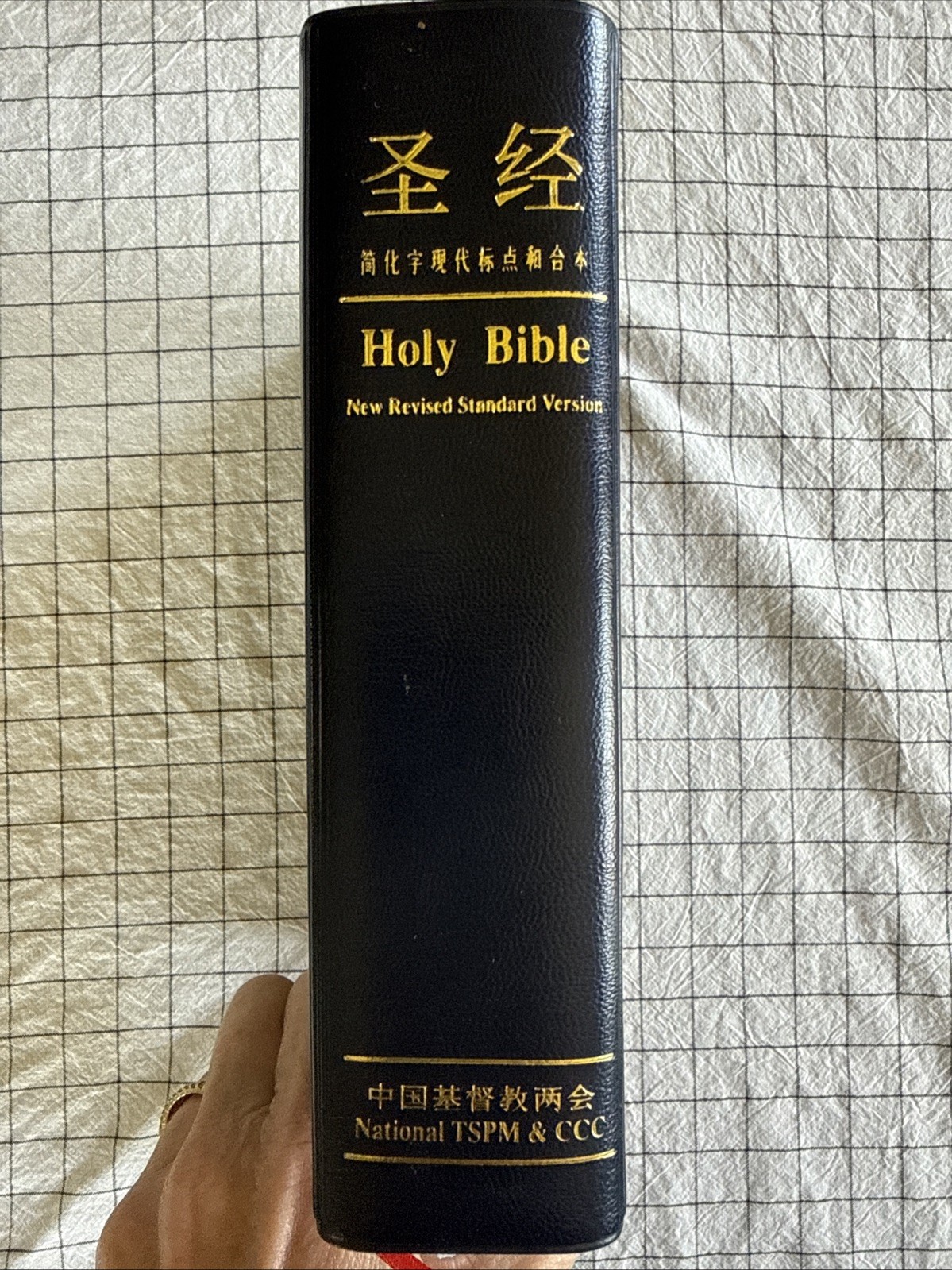 Holy Bible: NRSV New Revised Standard, Bilingual English Chinese 圣经 现代中文译本