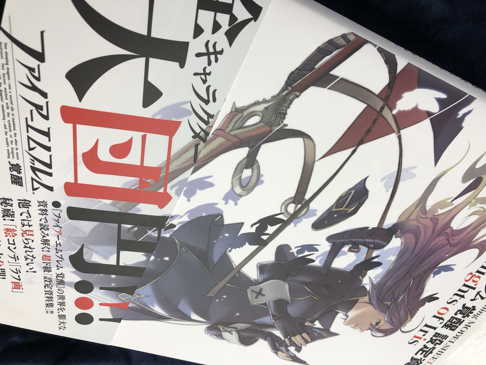 Fire Emblem Awakening Model Sheets Knights Of Iris Concept Art Book JDM MINT